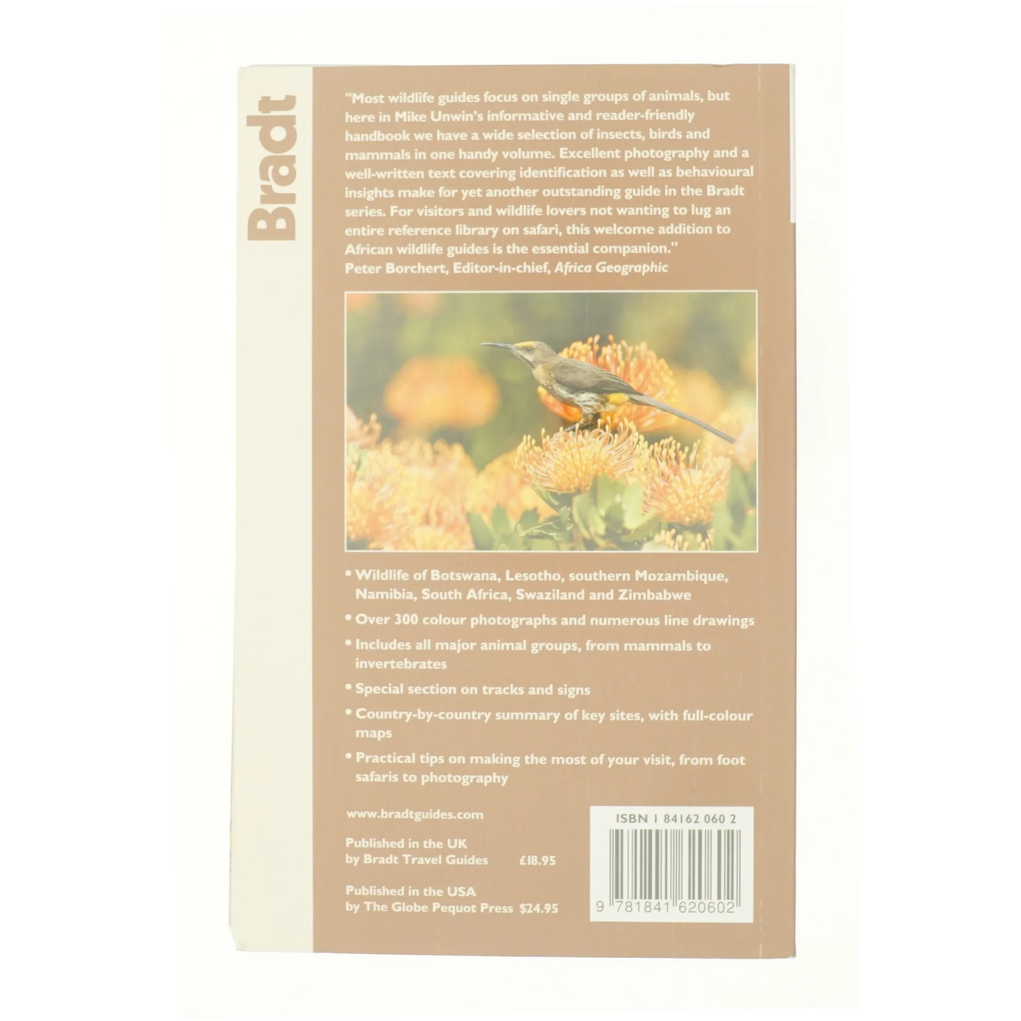 Southern African Wildlife : a Visitor's Guide af Mike Unwin (Bog)