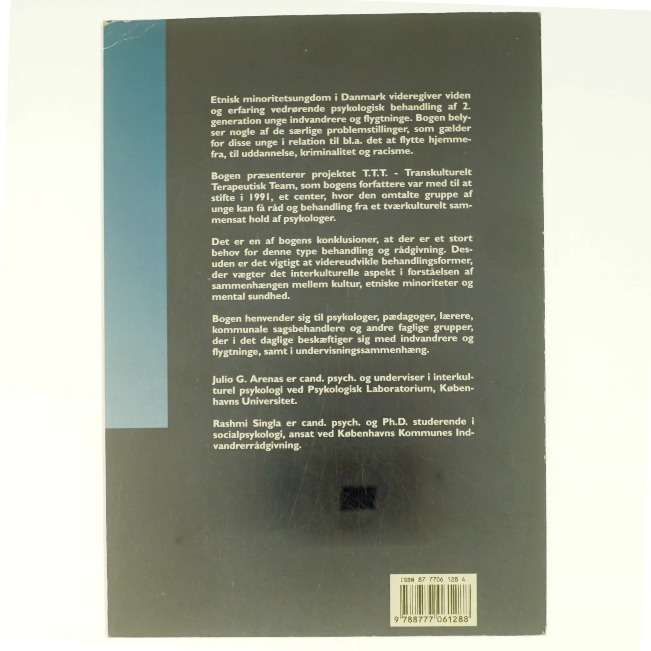Etnisk minoritetsungdom i Danmark af Julio G. Arenas, Rashmi Singla (Bog)