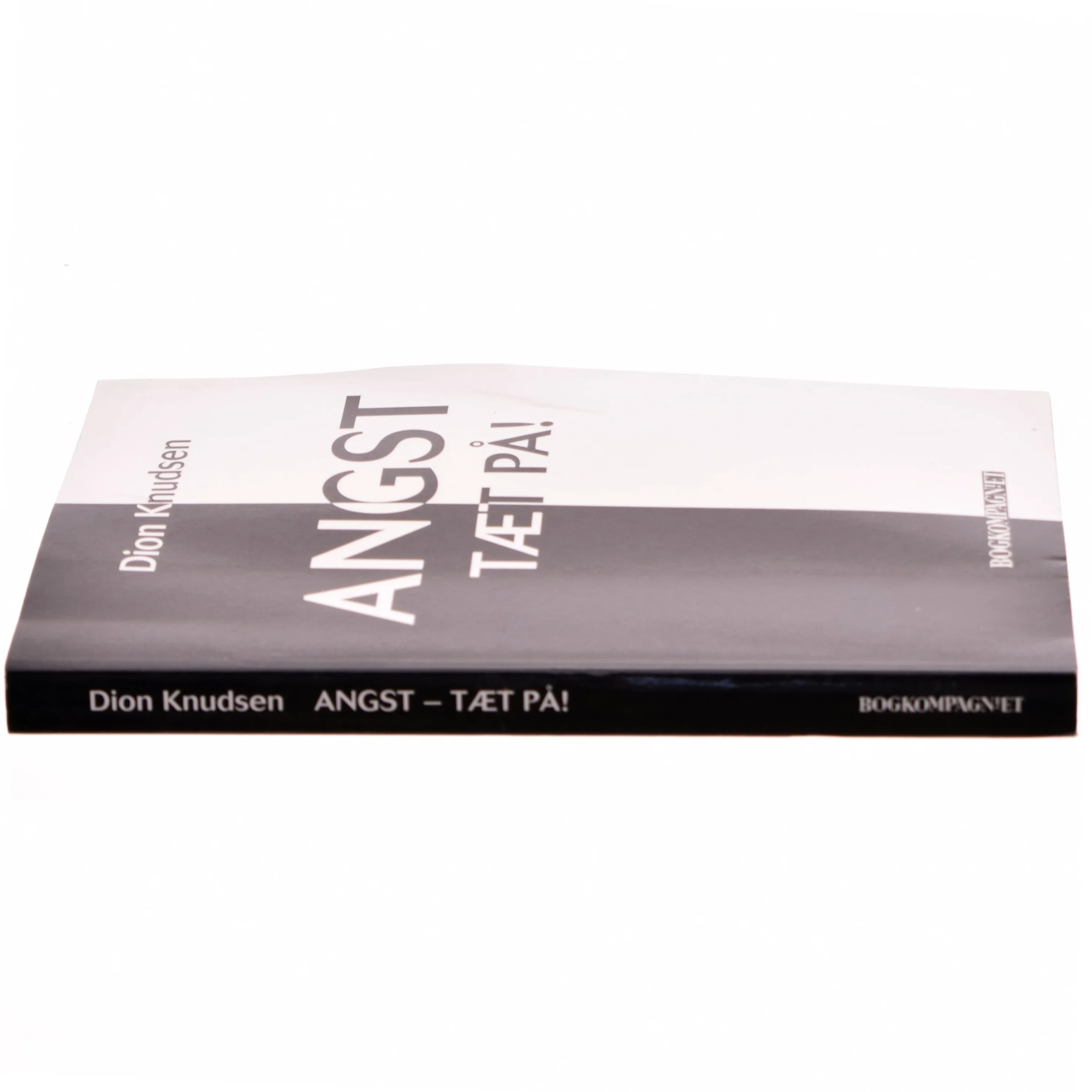 Angst - tæt på! af Dion Knudsen (Bog)