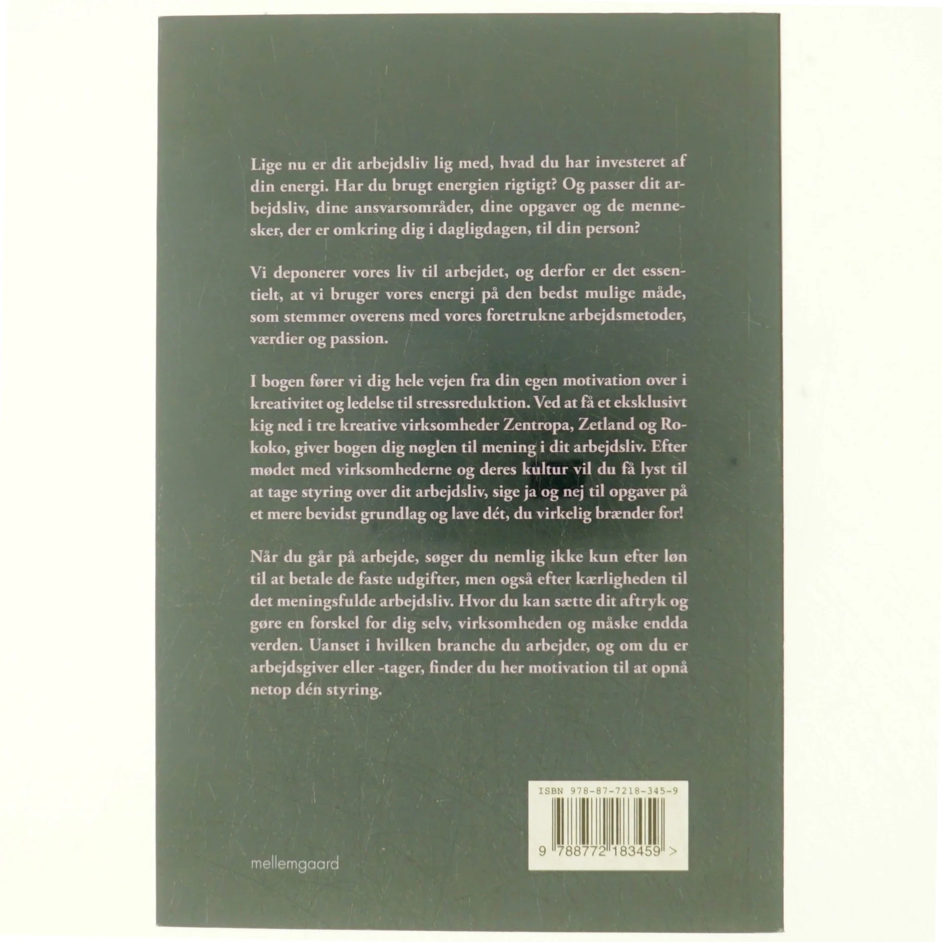 Det giver mening at elske sit arbejdsliv af Heidi Philipsen (f. 1971-03-18) (Bog)