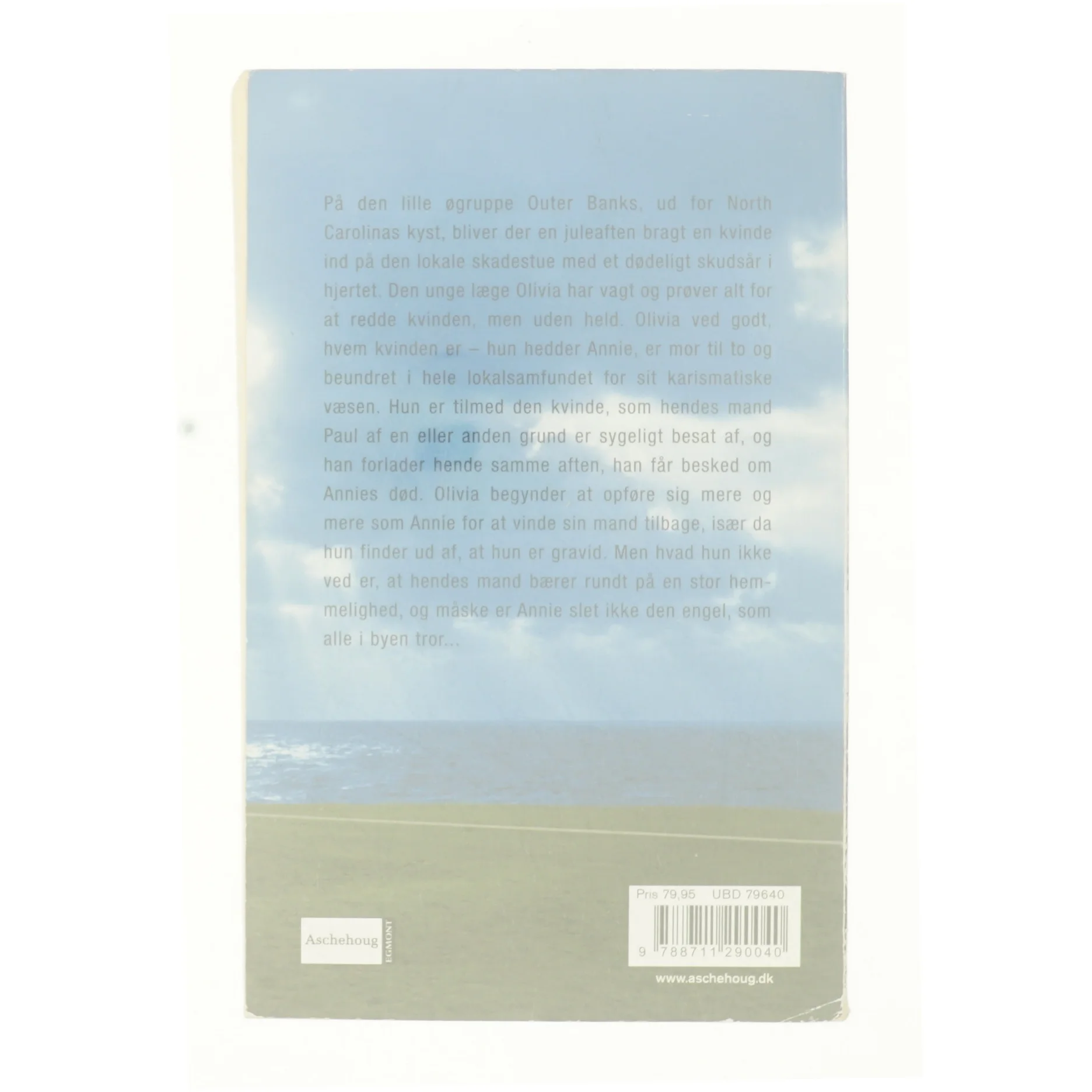 Sandhedens smerte af Diane Chamberlain (Bog)