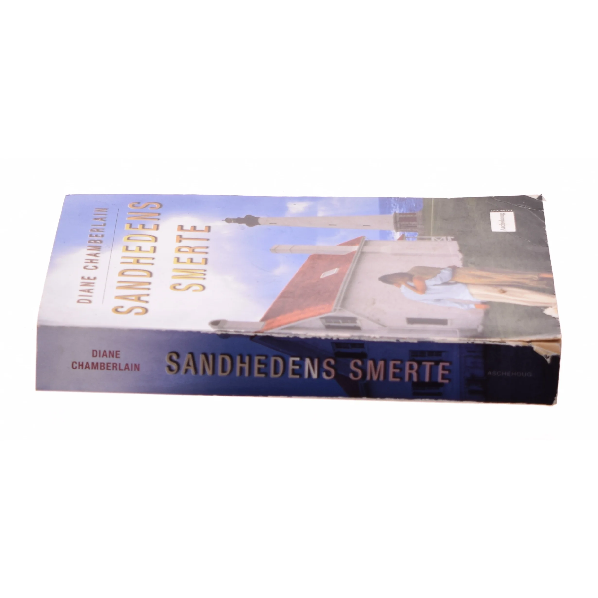 Sandhedens smerte af Diane Chamberlain (Bog)