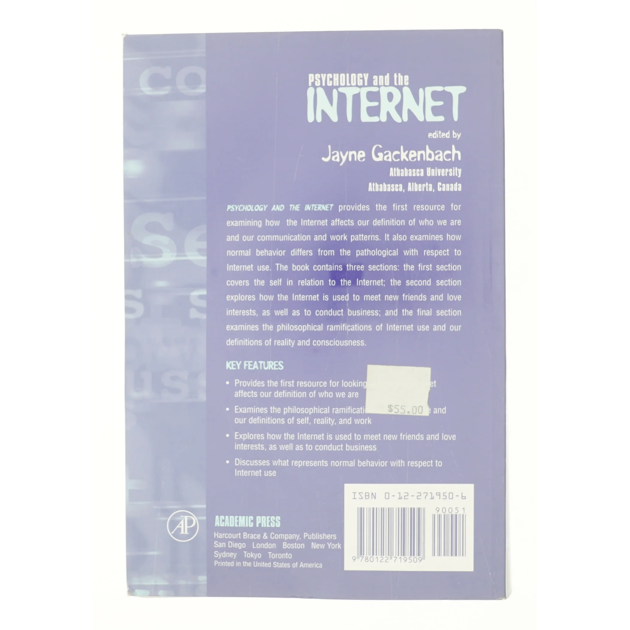 Psychology and the Internet: Intrapersonal, Interpersonal, and Transpersonal Implications (Bog)