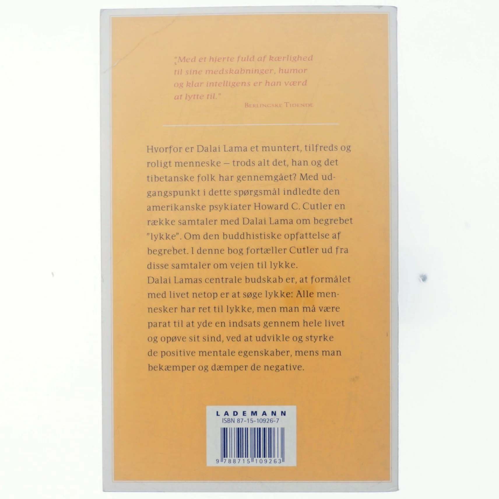 Kunsten at leve lykkeligt (Bog)