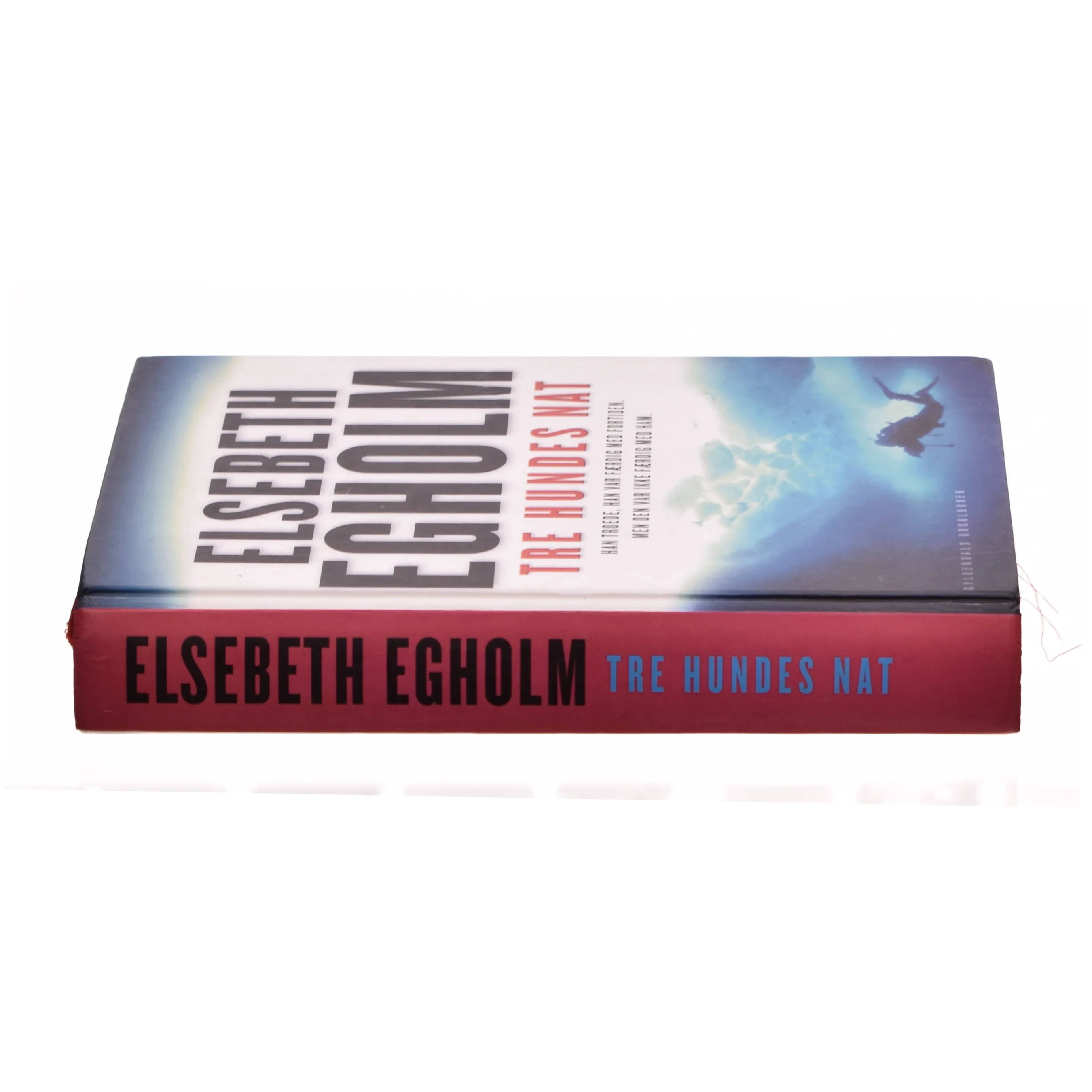 Tre hundes nat af Elsebeth Egholm (Bog)