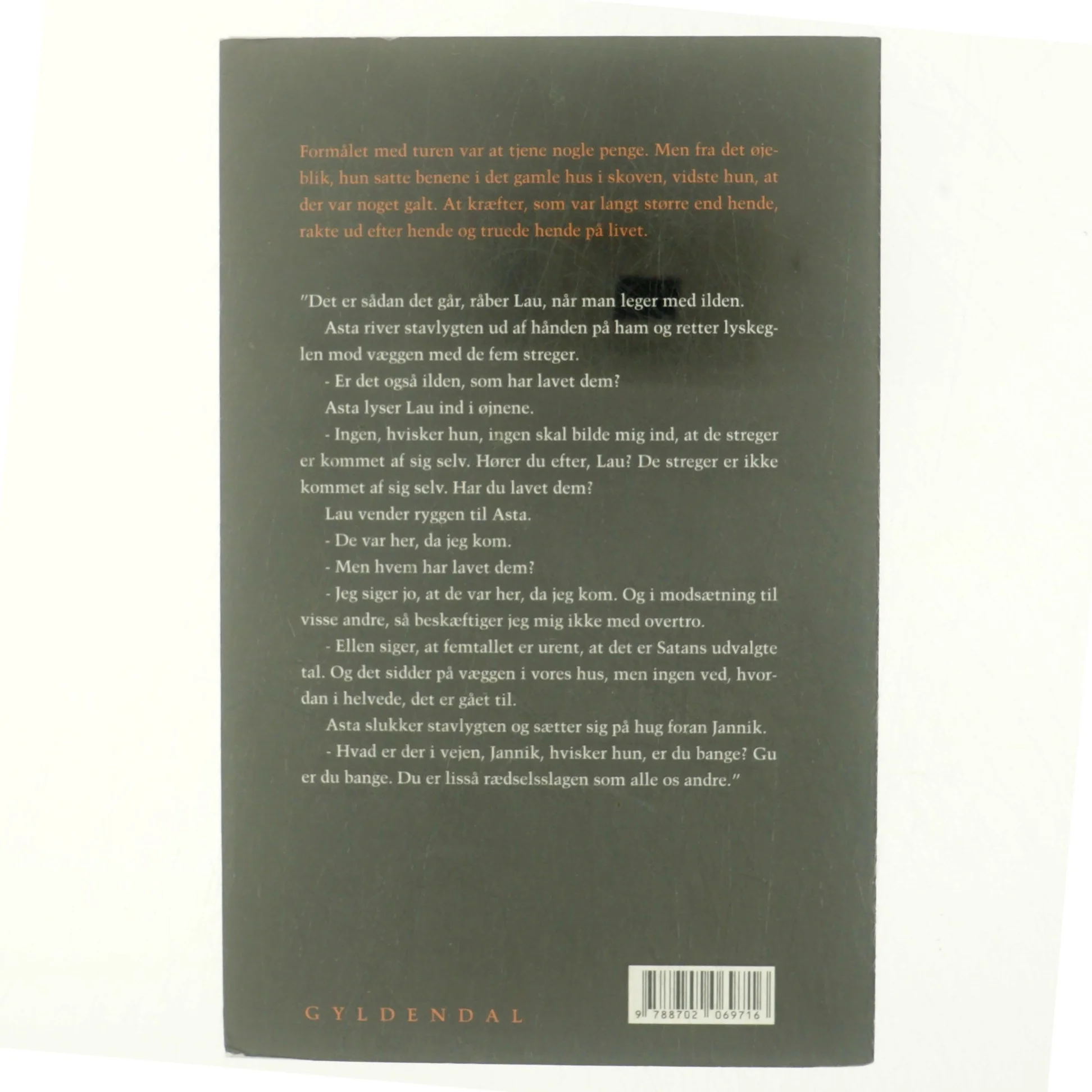 Fem : roman af Bjarne Reuter (Bog)