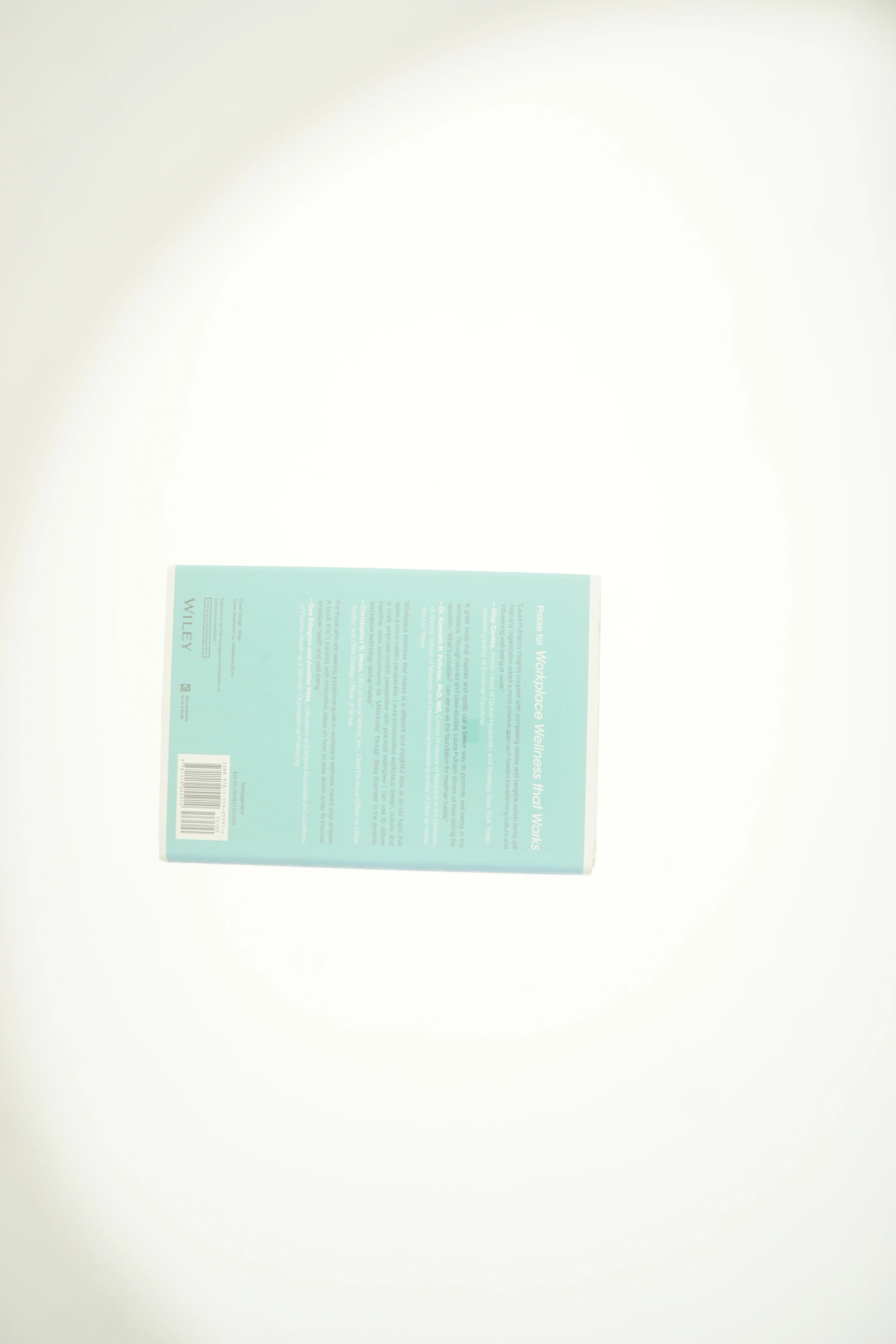 Workplace Wellness That Works : 10 Steps to Infuse Well-Being and Vitality Into Any Organization (Hardcover) af Laura Putnam (Bog)