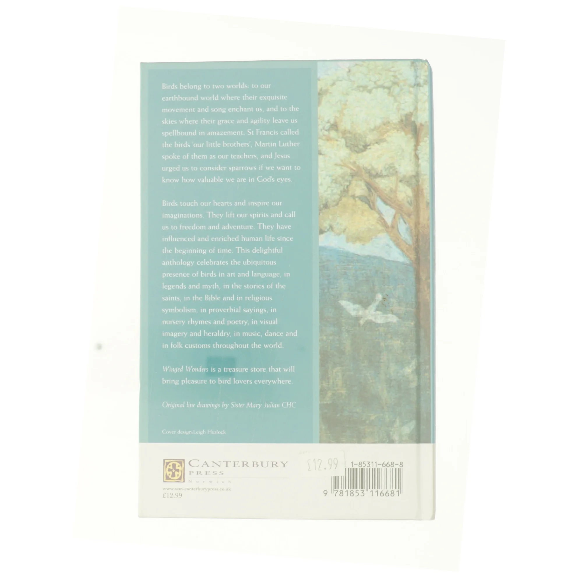 Winged Wonders: a Miscellany of Brids (Bog)