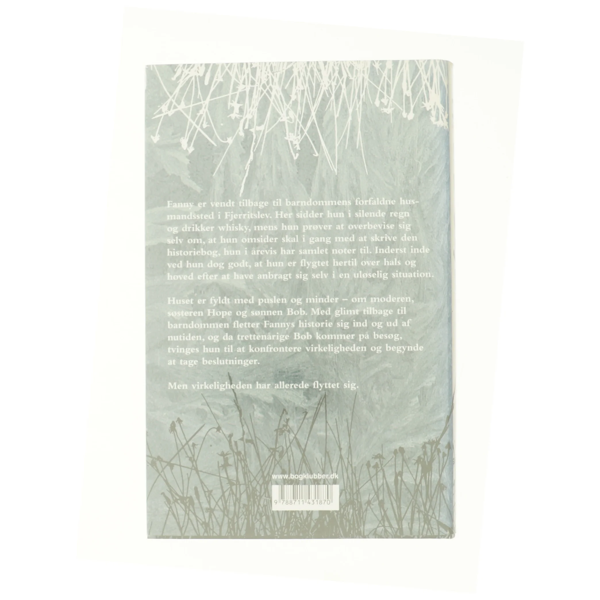 Skjul af Trisse Gejl (Bog)