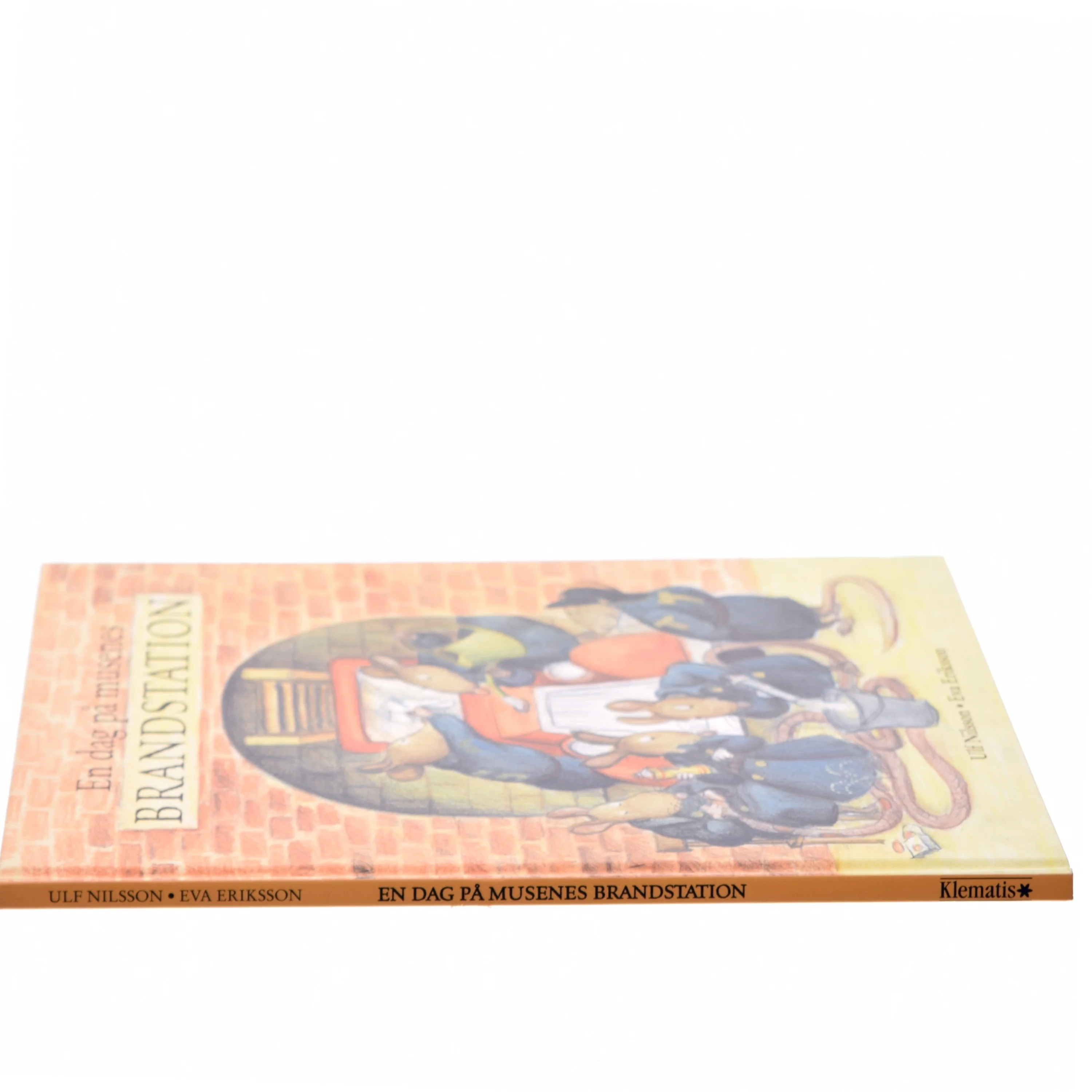 En dag på musenes brandstation (Bog)