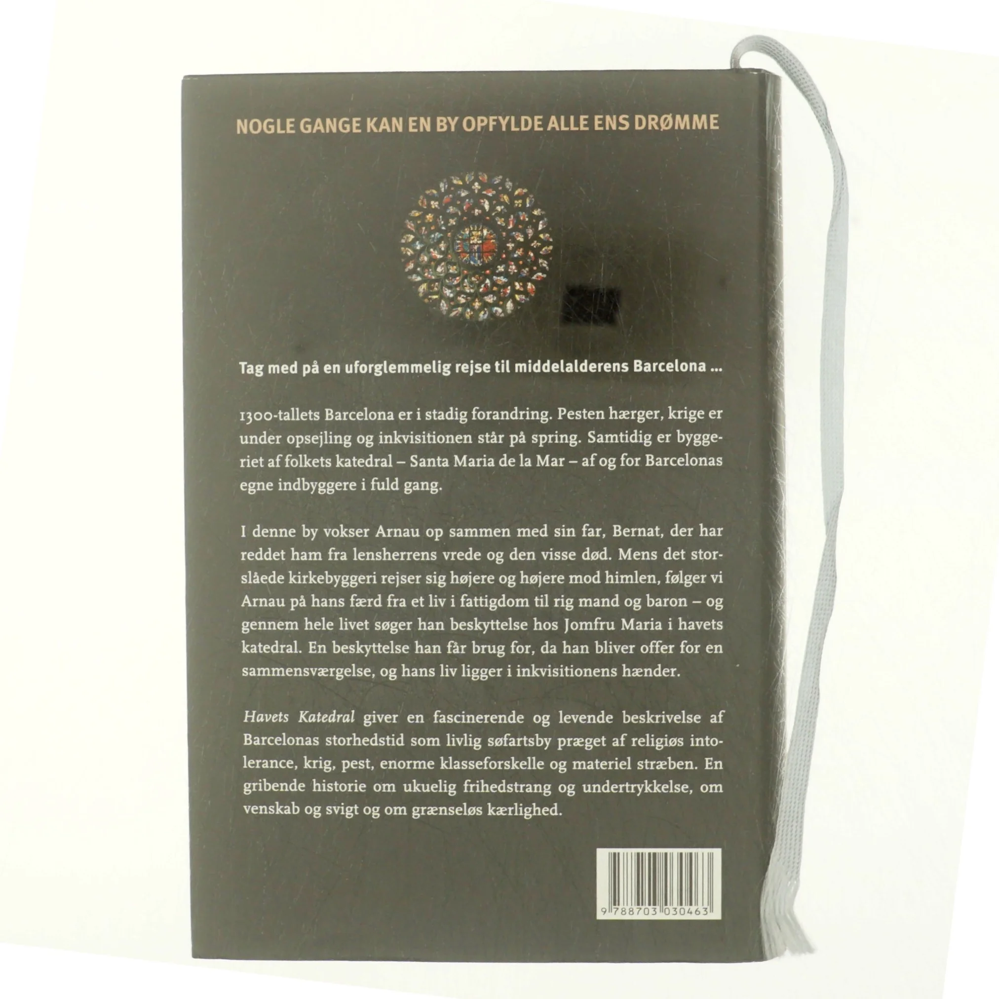 Havets katedral af Ildefonso Falcones (Bog)