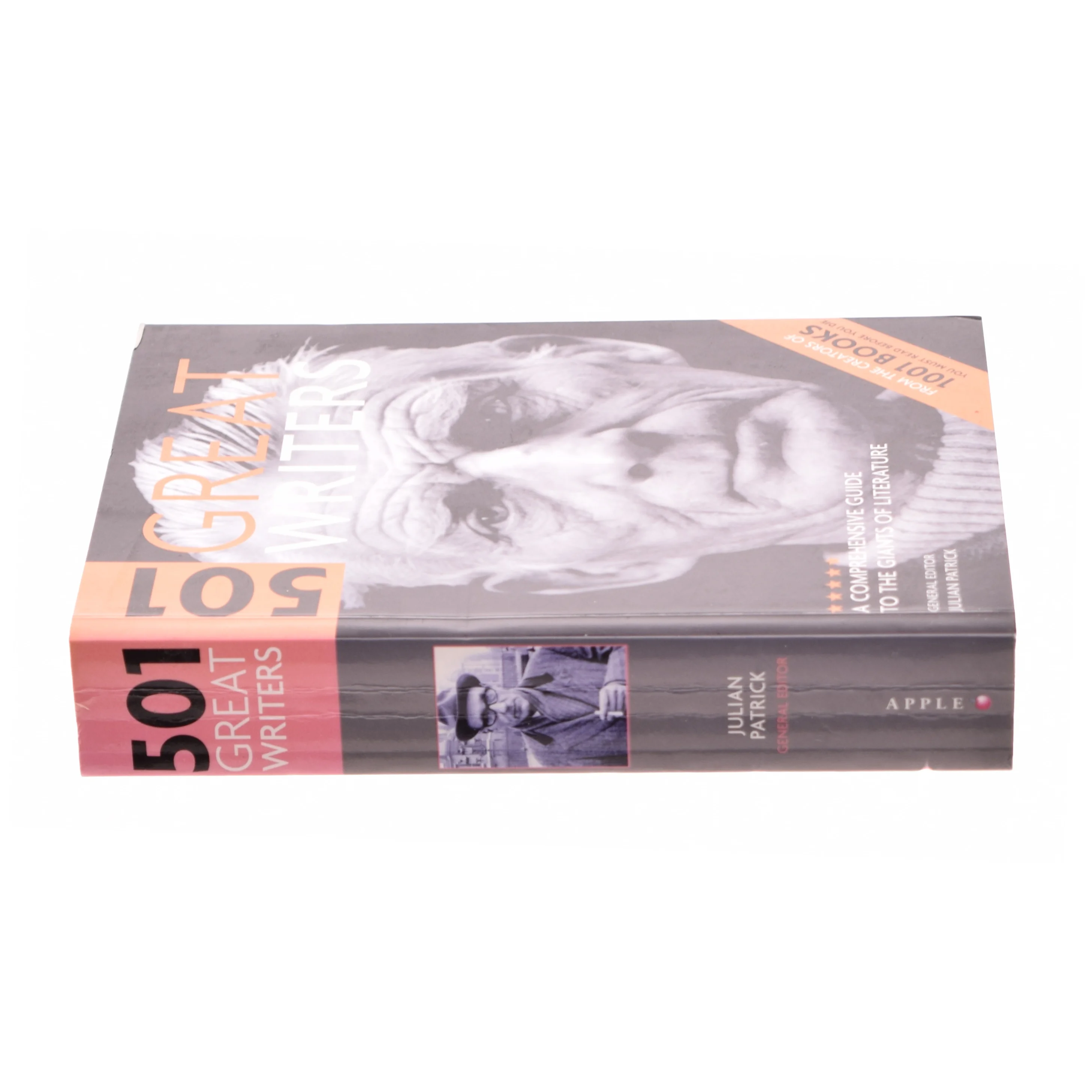 501 Great Writers: a Comprehensive Guide to the Giants of Literature (Bog)