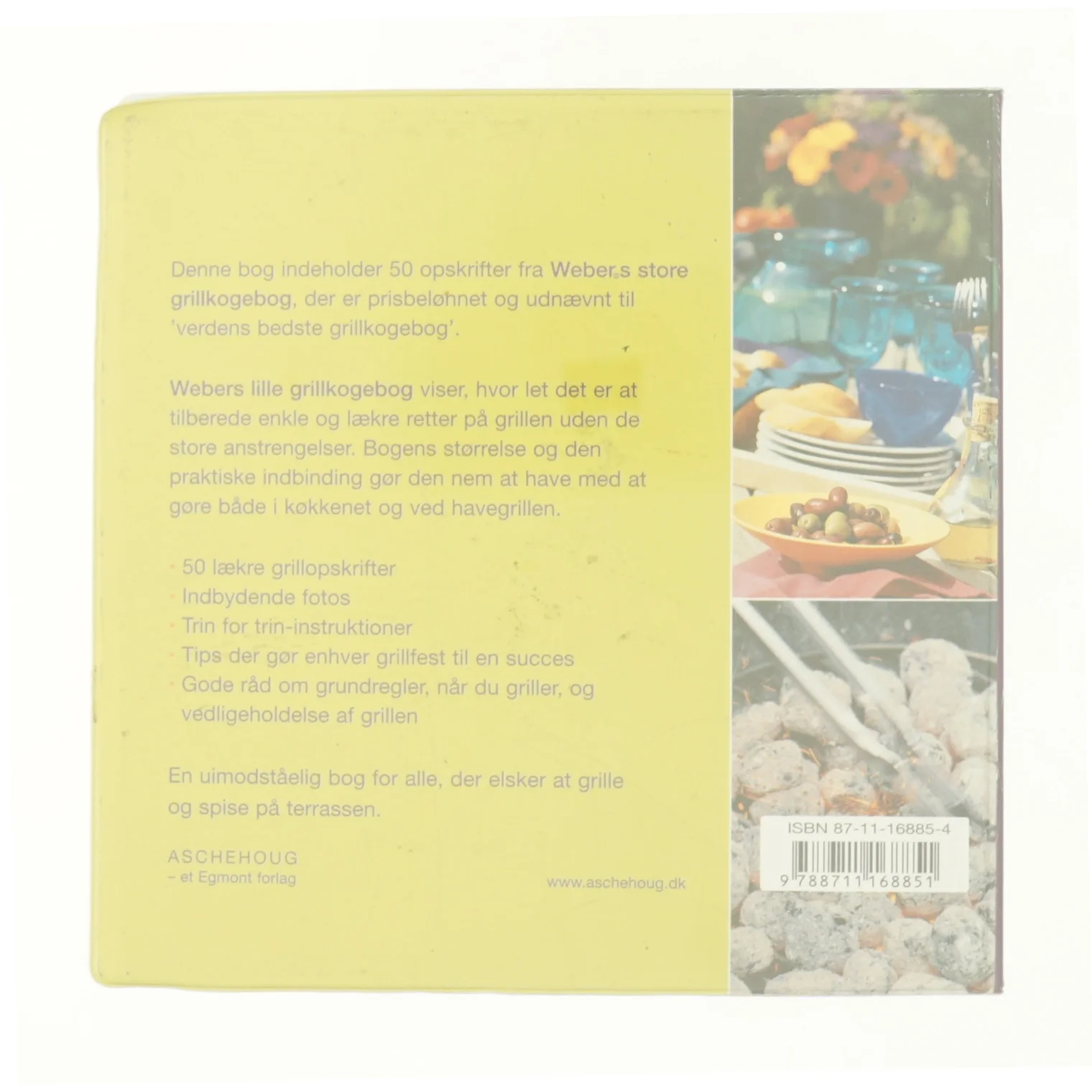 Webers lille grill-kogebog af Metthrew Drennan