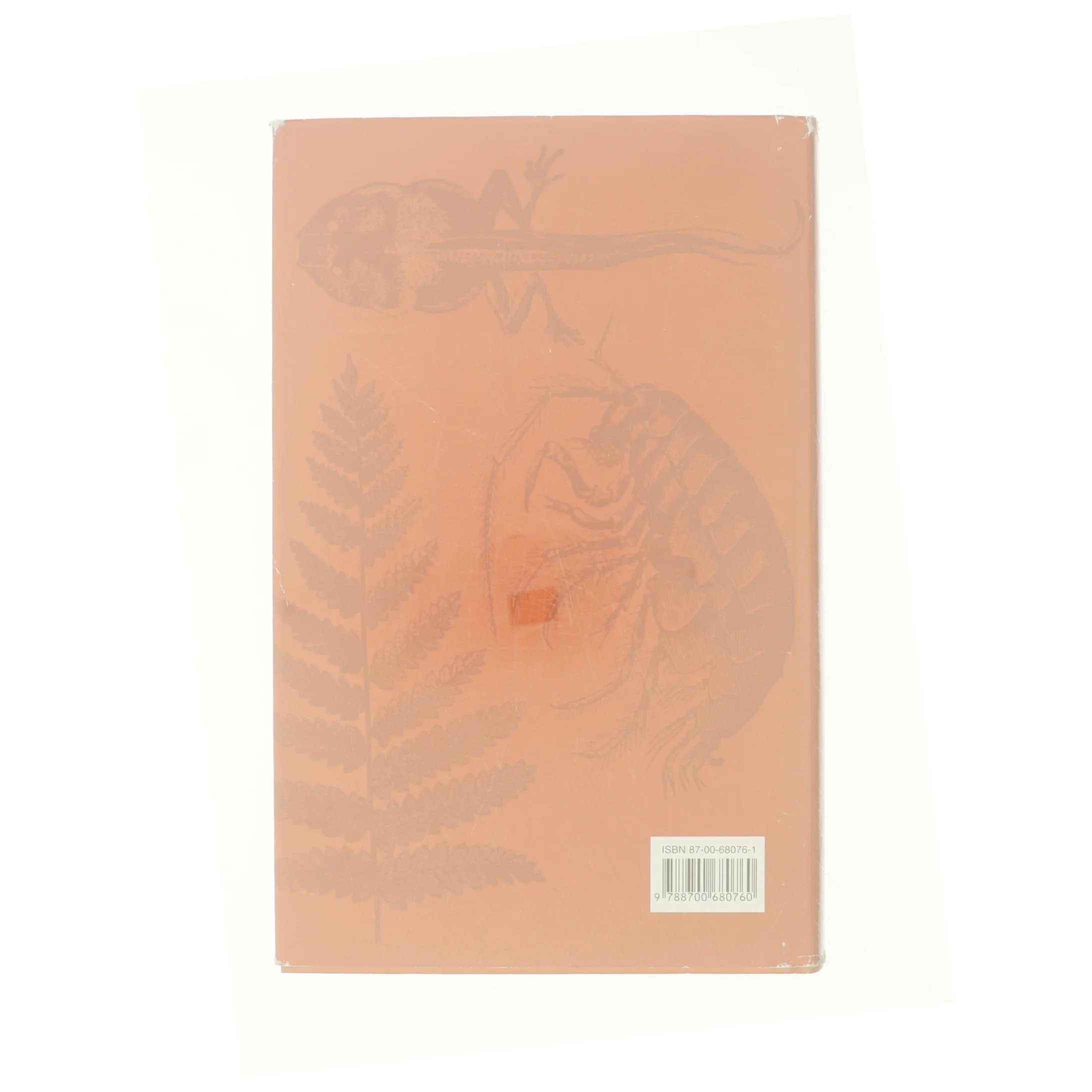 Maya af Jostein Gaarder (Bog)