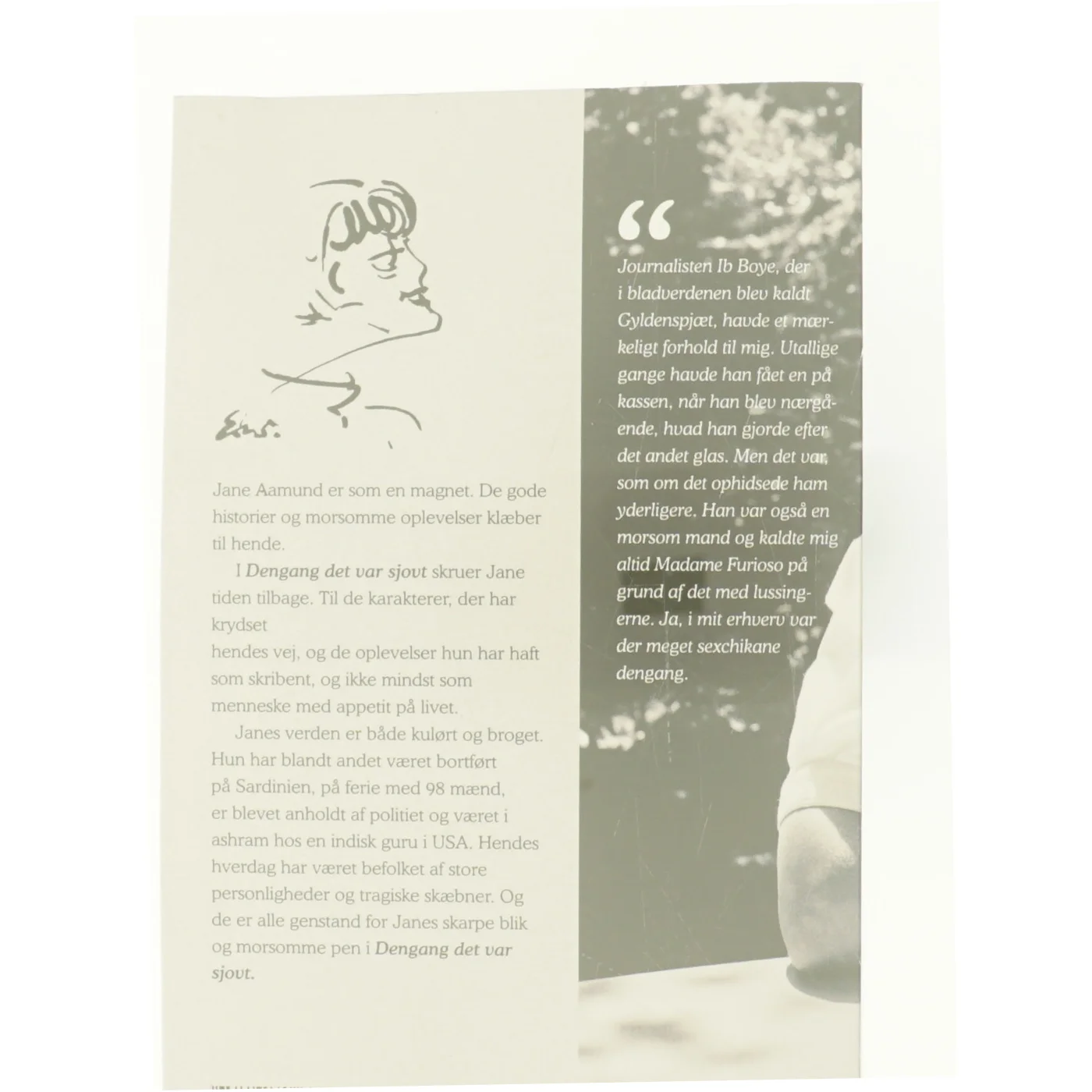 Dengang det var sjovt af Jane Aamund (Bog)