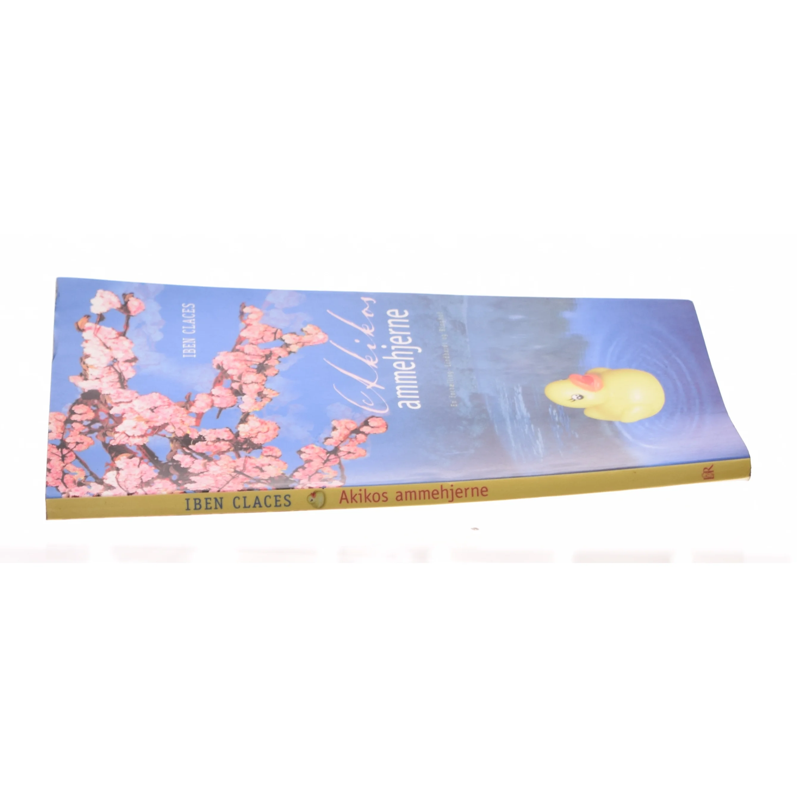Akikos ammehjerne af Iben Claces (Bog)