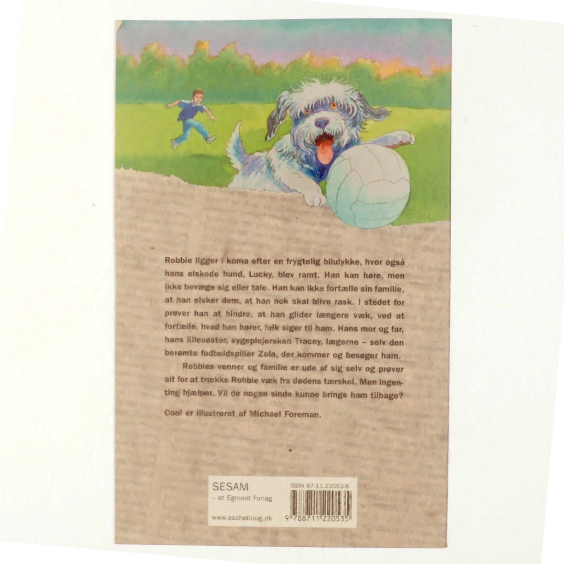 Cool! af Michael Morpurgo (Bog)