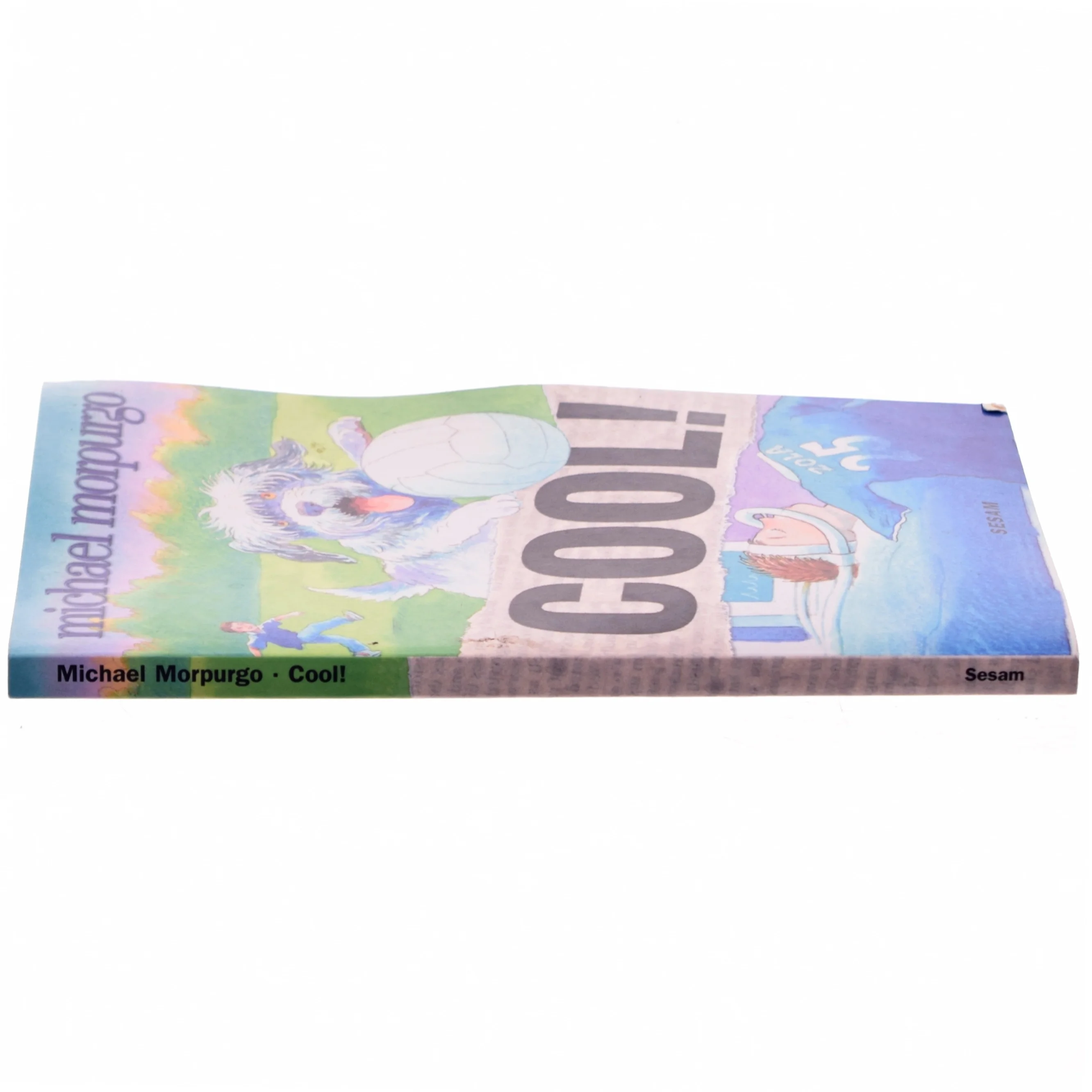 Cool! af Michael Morpurgo (Bog)
