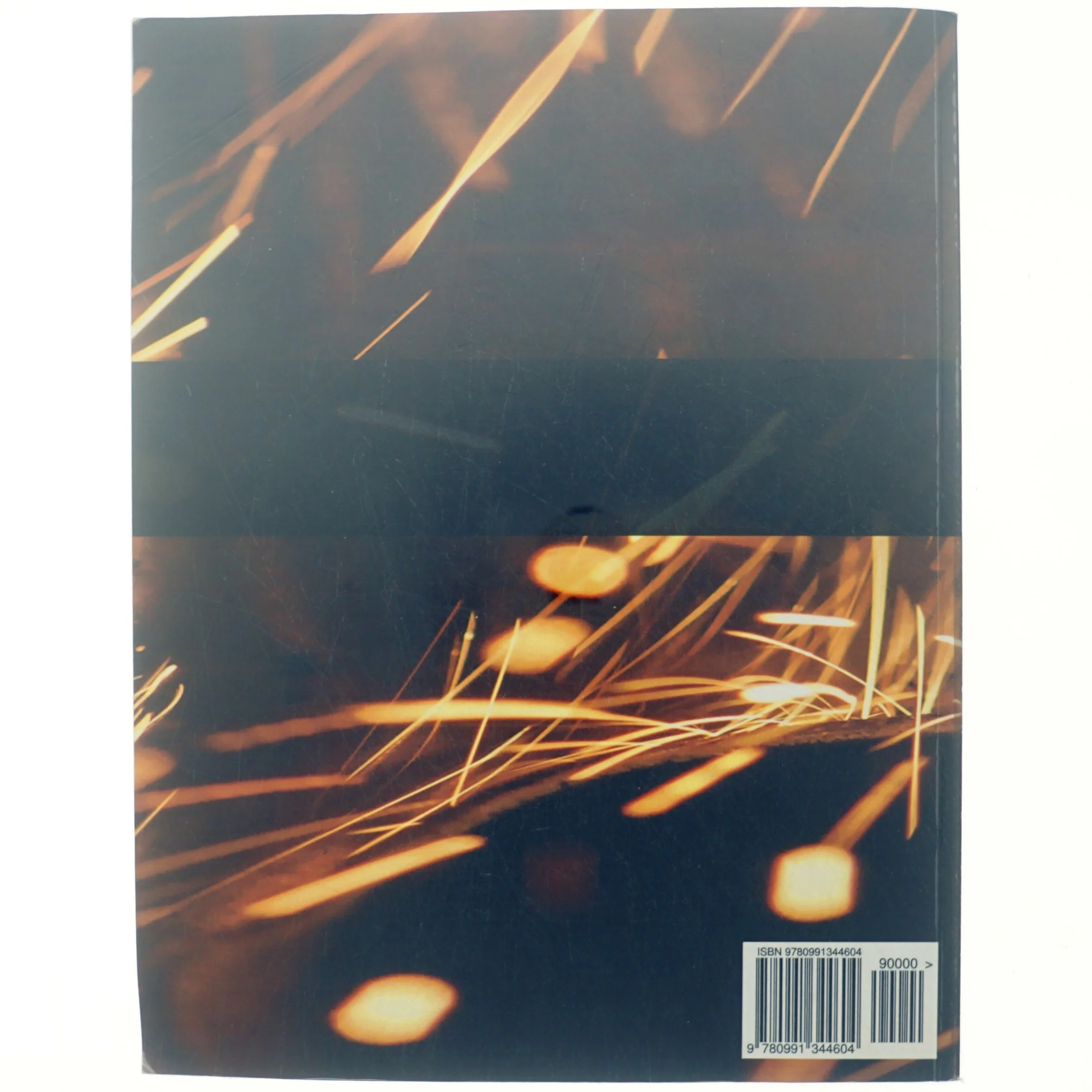 Ng-book af Ari Lerner (Bog)