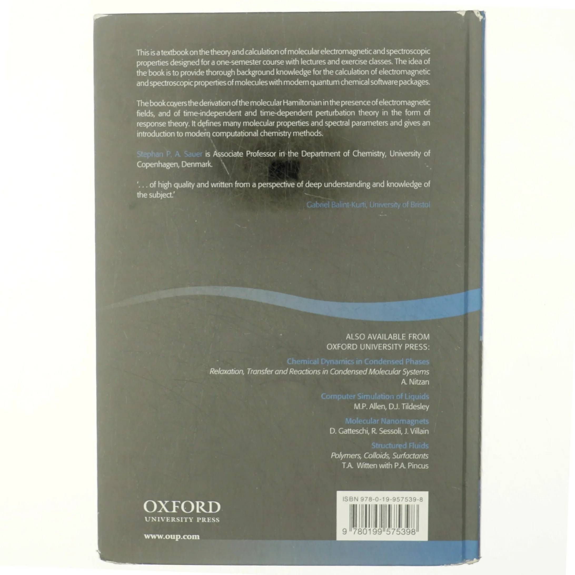 Molecular electromagnetism : a computational chemistry approach af Stephan P.A. Sauer (Bog)