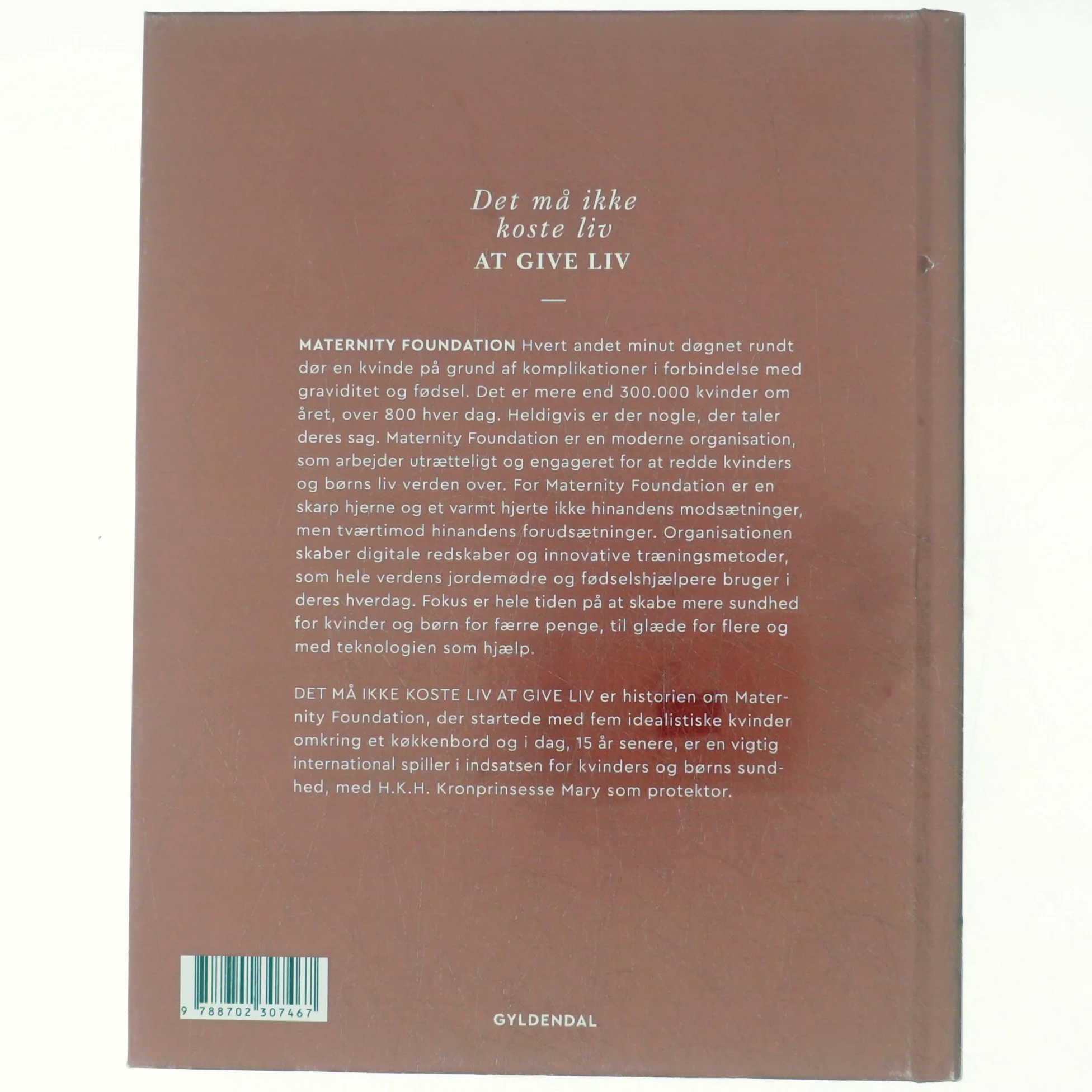 Det må ikke koste liv at give liv : Maternity Foundation - fra lille dansk NGO til global digital frontløber i kamp for kvinders sundhed af Kirsten Weiss (Bog)