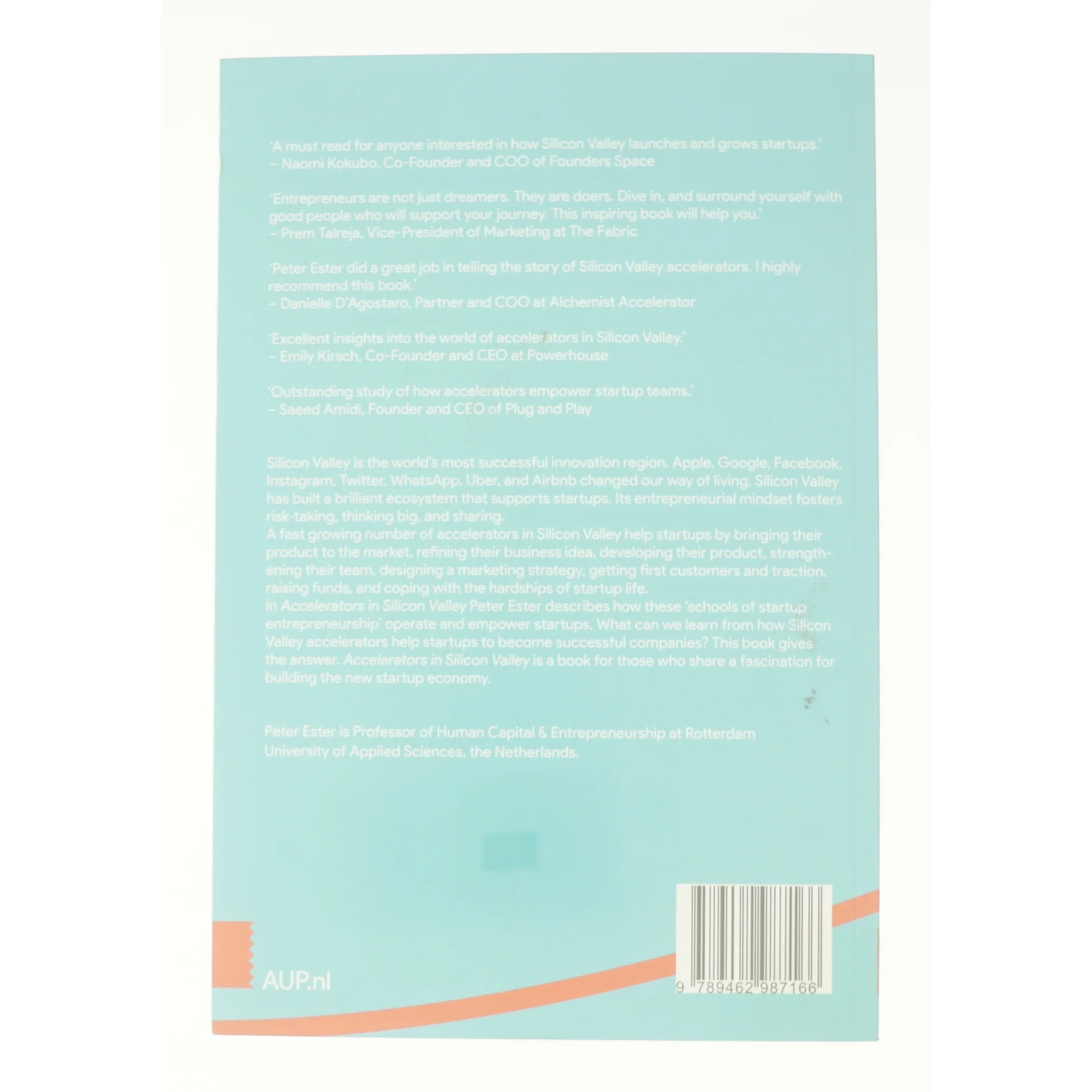 Accelerators in Silicon Valley (Bog)