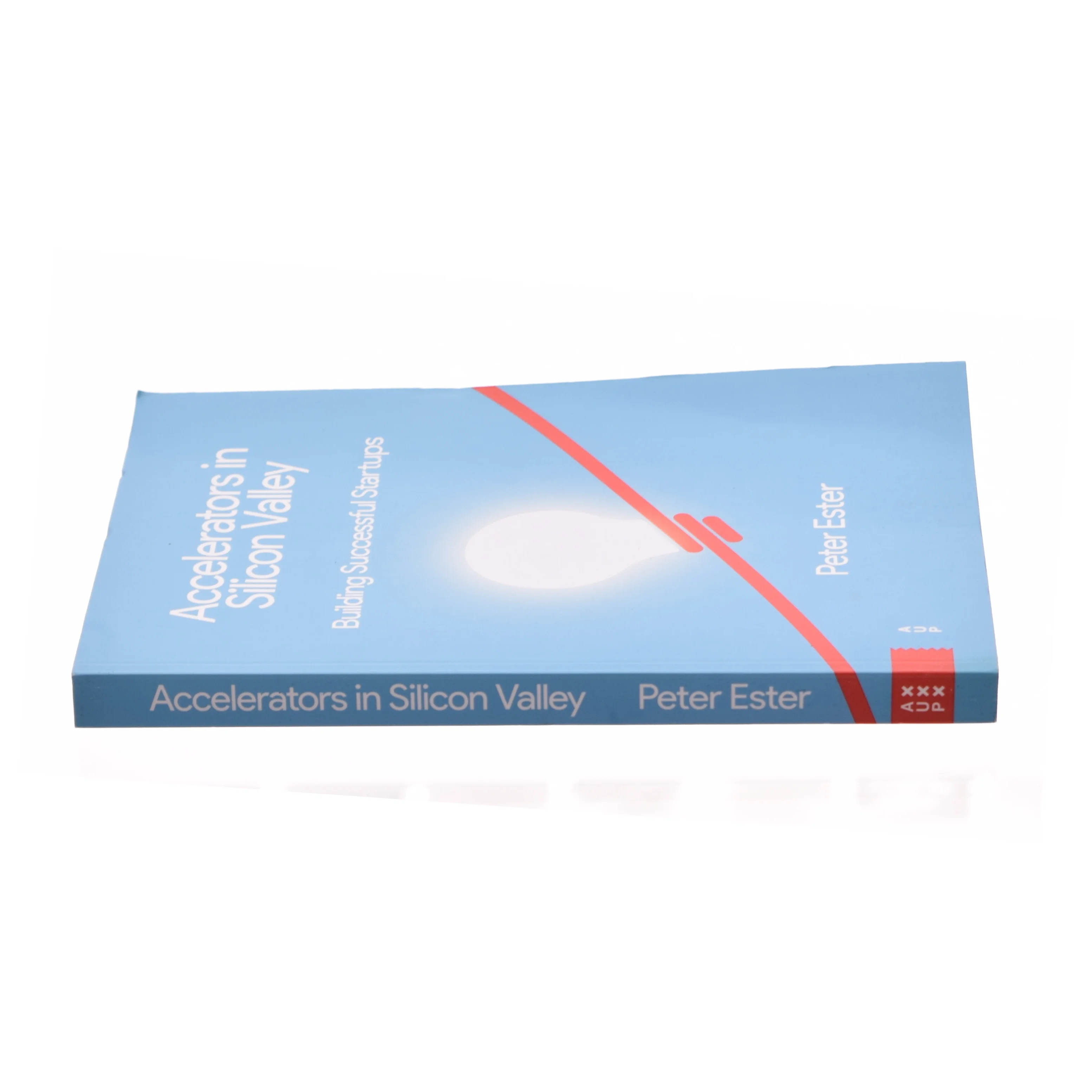 Accelerators in Silicon Valley (Bog)