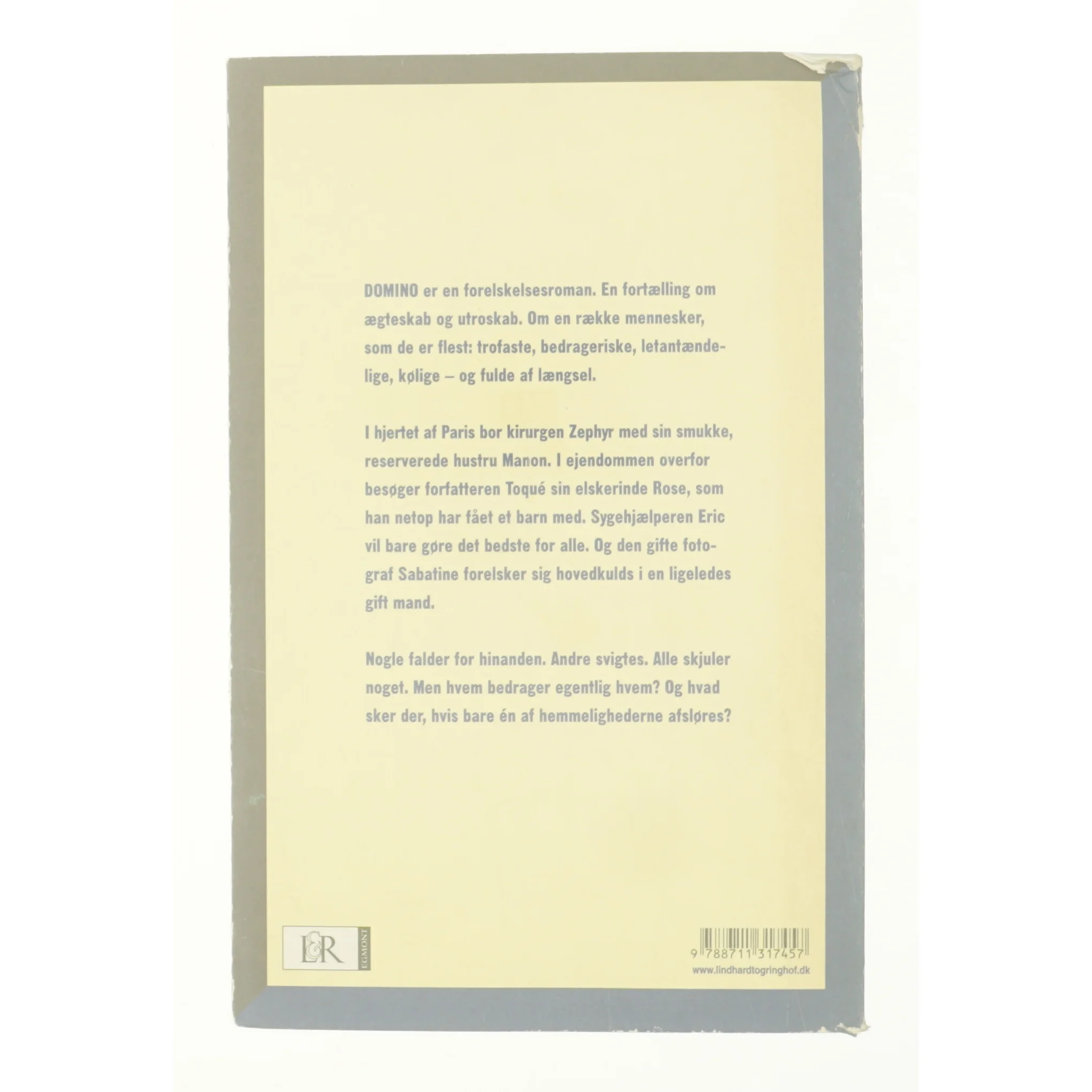 Domino af Iselin C. Hermann (Bog)