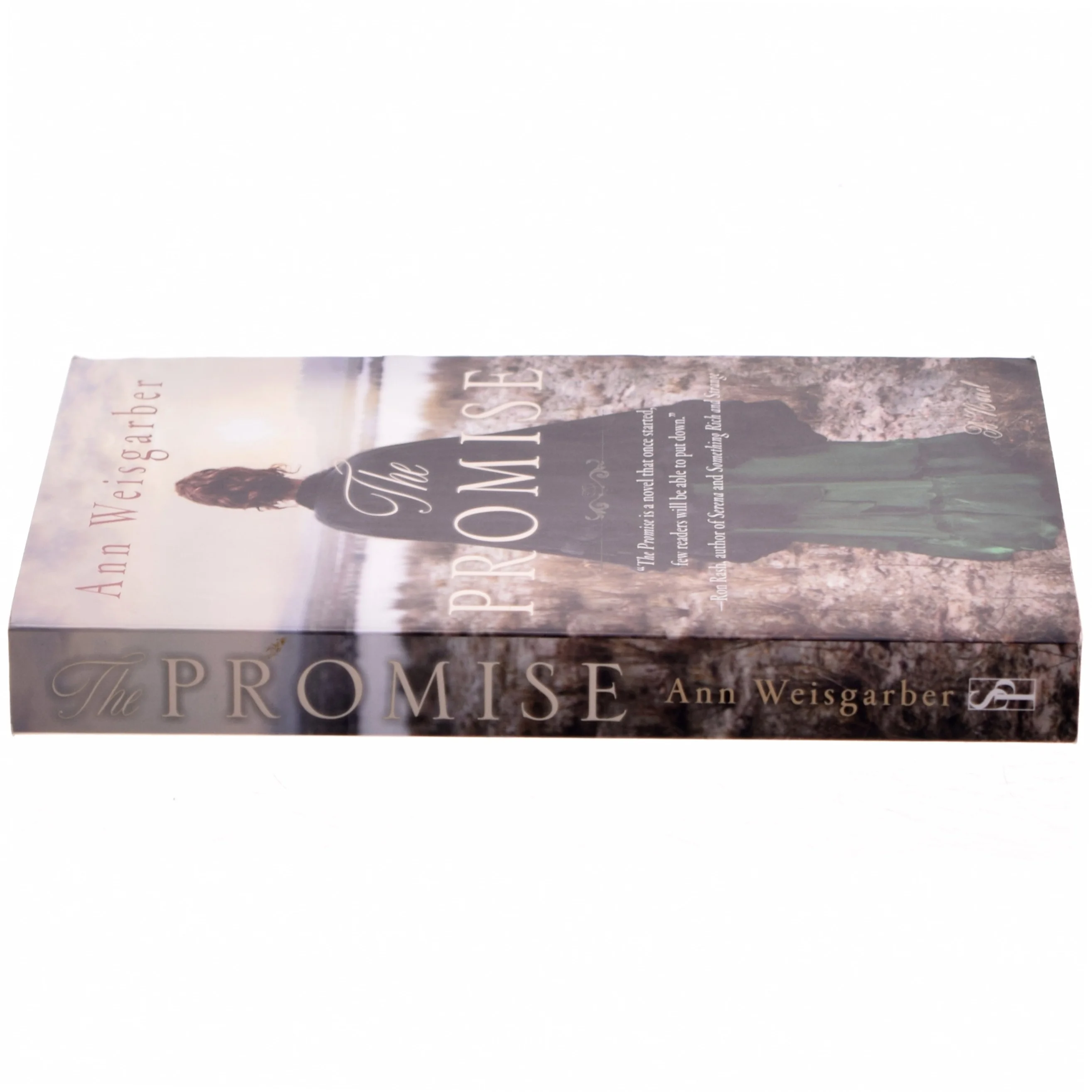 The Promise af Ann Weisgarber (Bog)