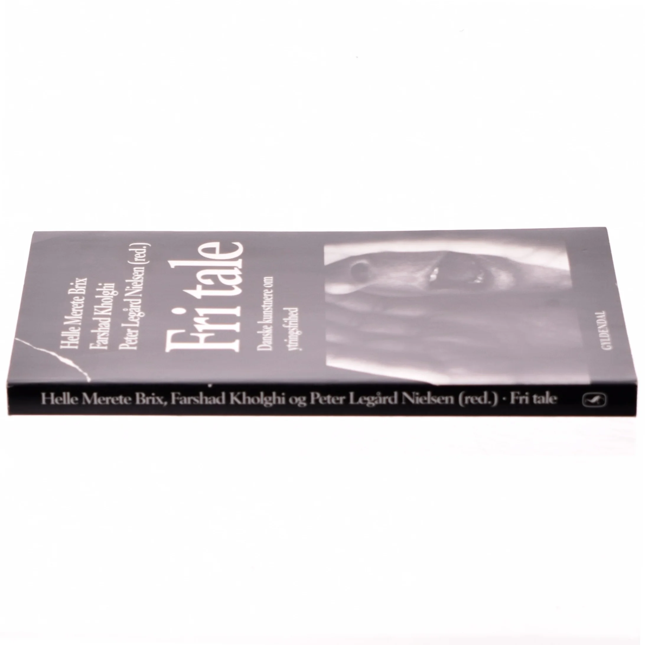 Fri tale : danske kunstnere om ytringsfrihed (Bog)