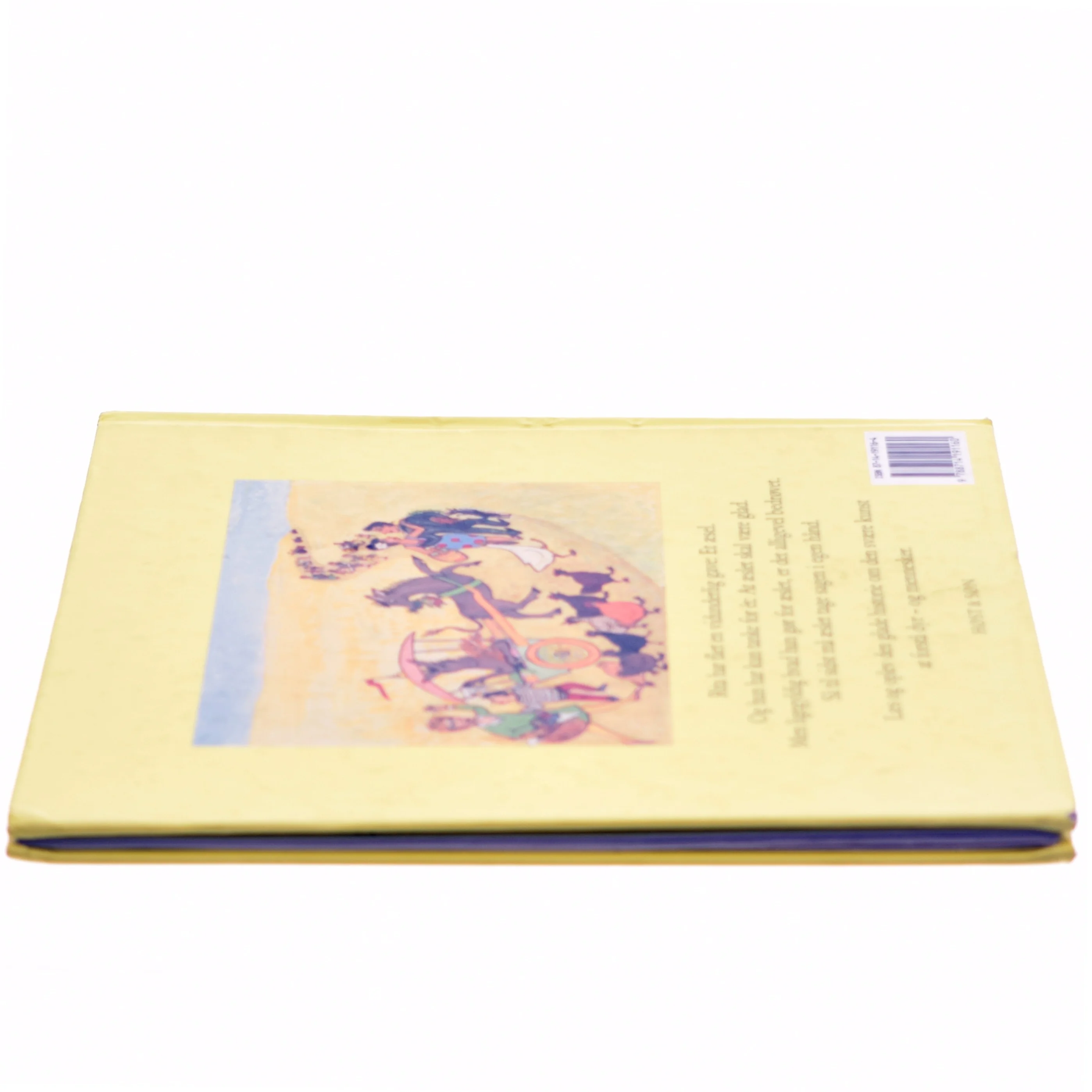 Pigen og æslet af Julie Kyhl (Bog)