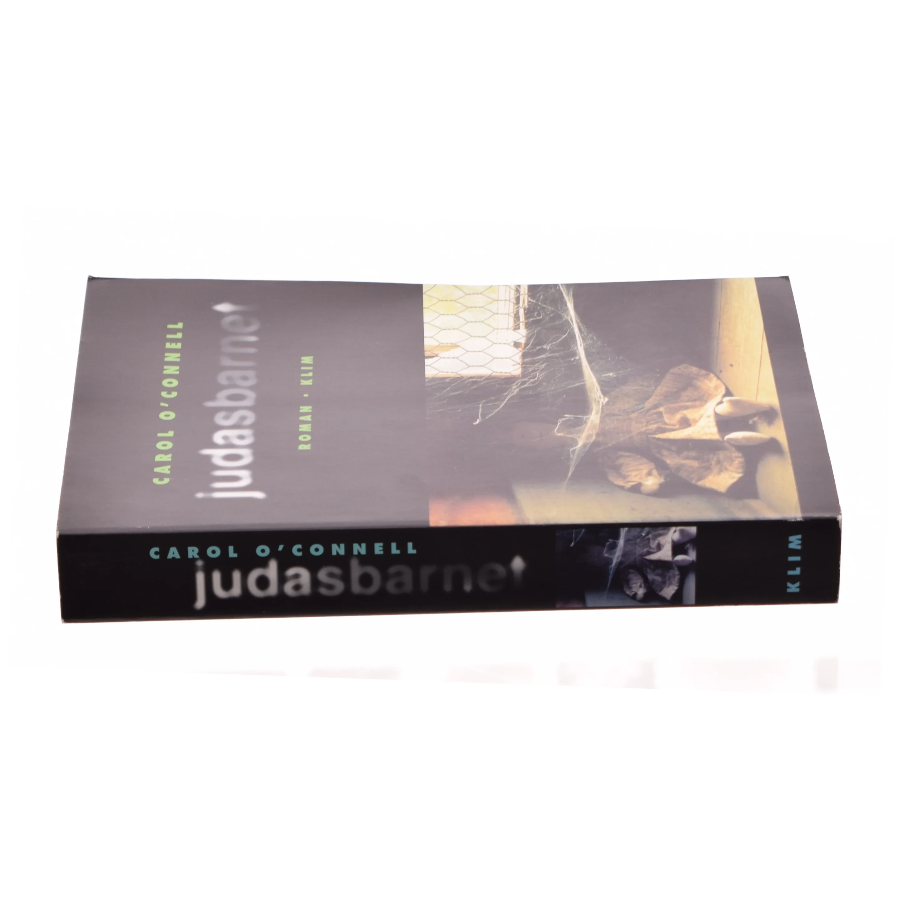 Judasbarnet af Carol O'Connell (bog)