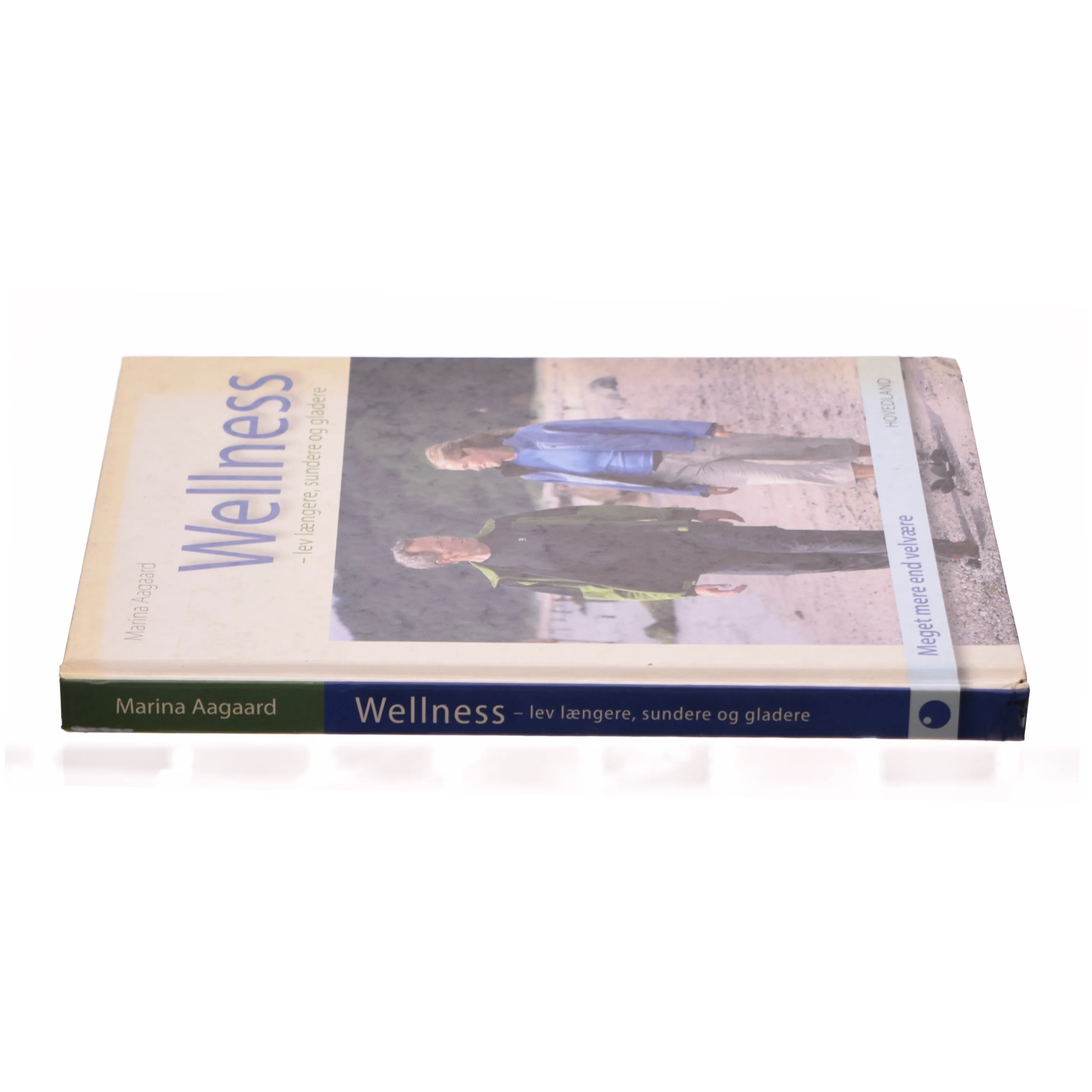 Wellness af Marina Aagaard (Bog)