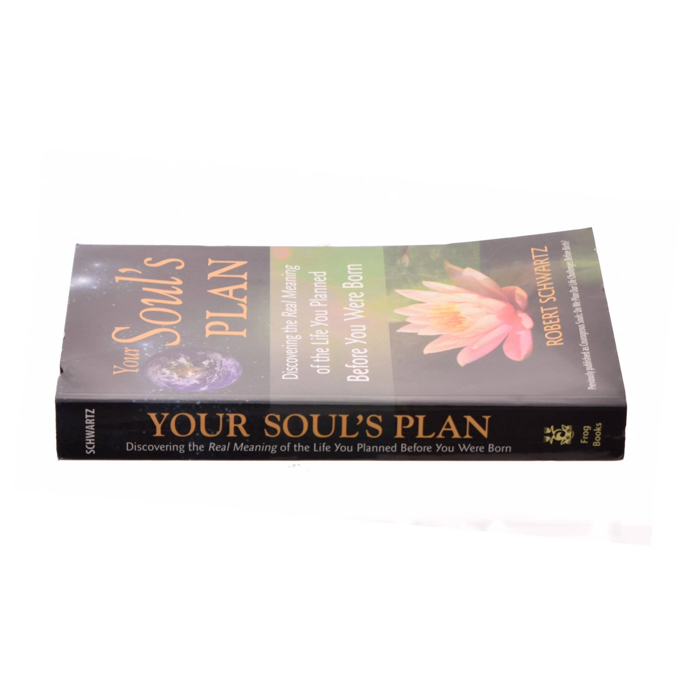 Your Soul's Plan af Robert Schwartz (Bog)