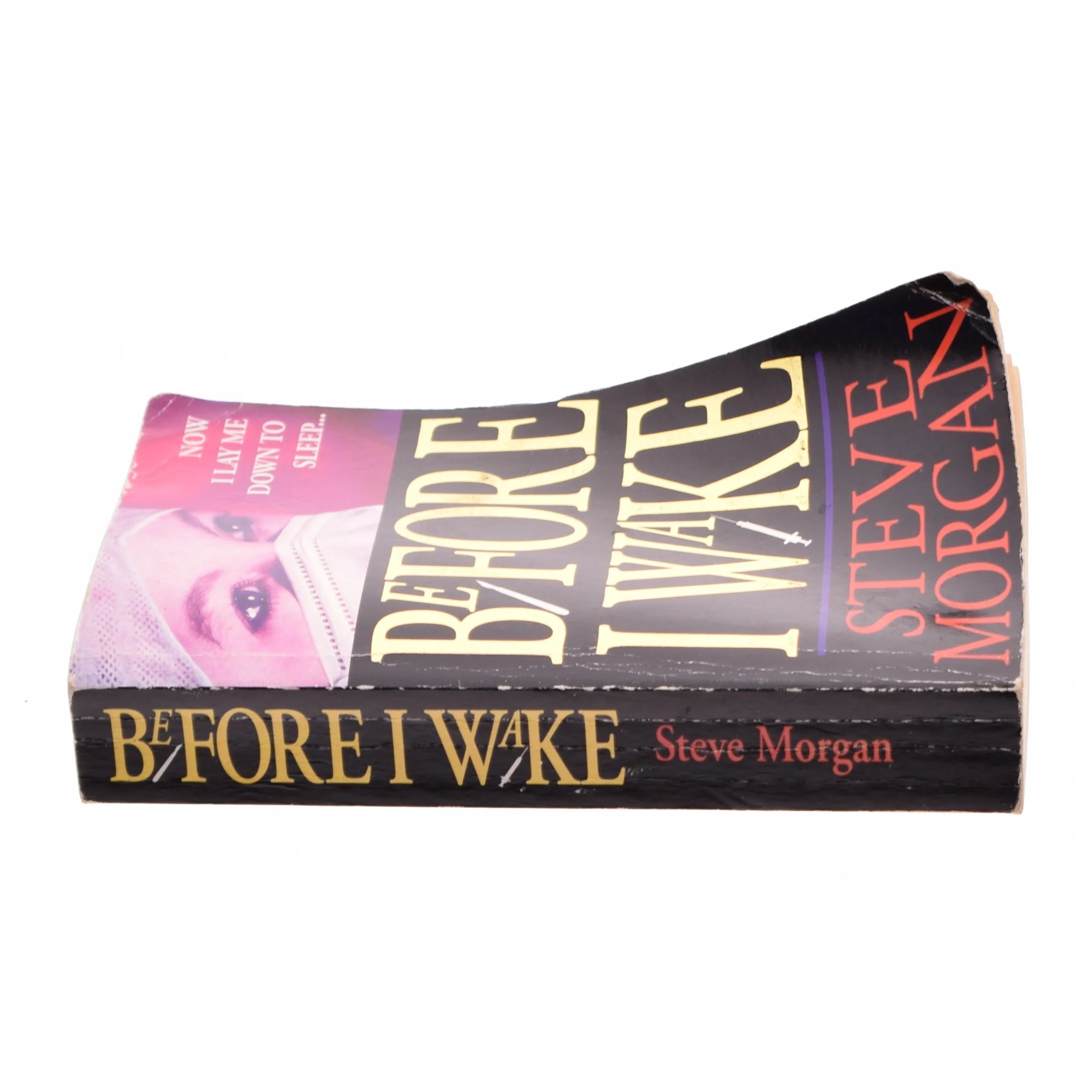 Before I Wake af Morgan, Steve (Bog)