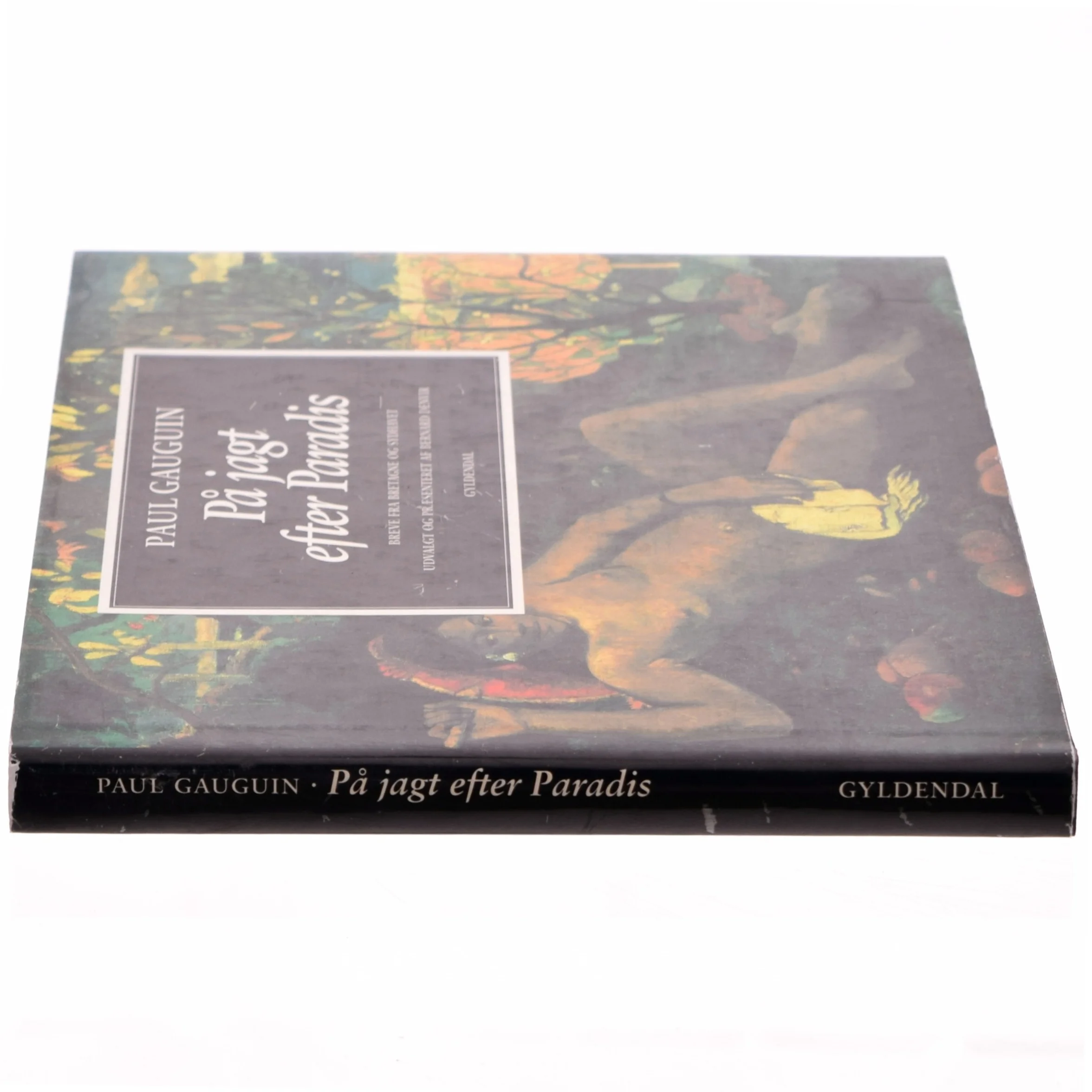 På jagt efter paradis : breve fra Bretagne og Sydhavet (Bog)