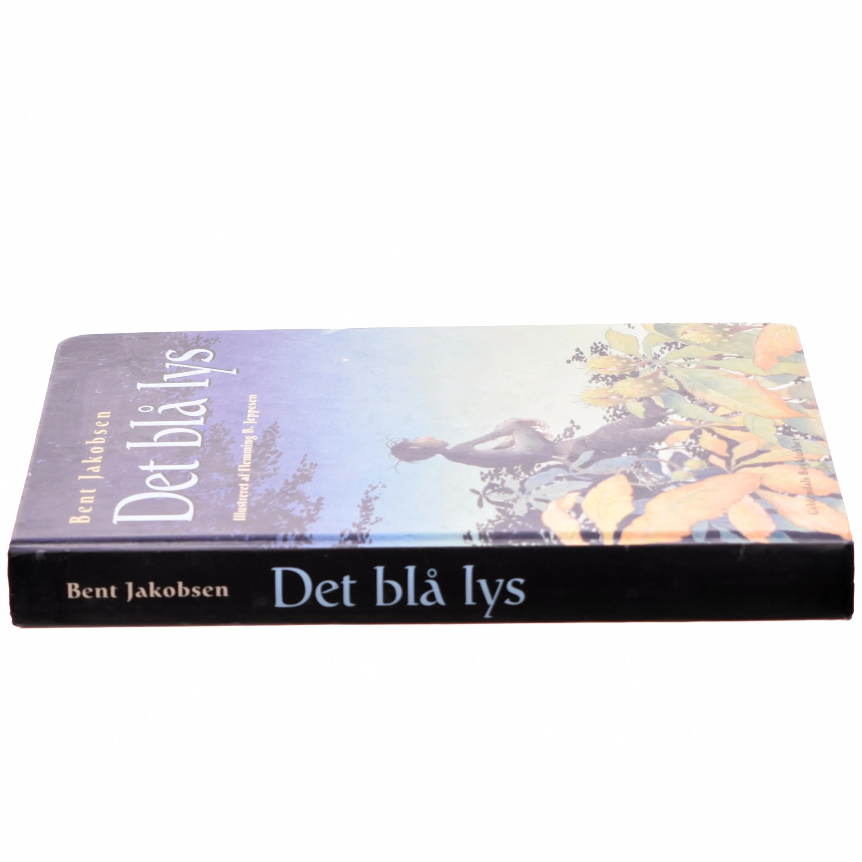 Det blå lys af Bent Jakobsen (f. 1959-08-21) (Bog)