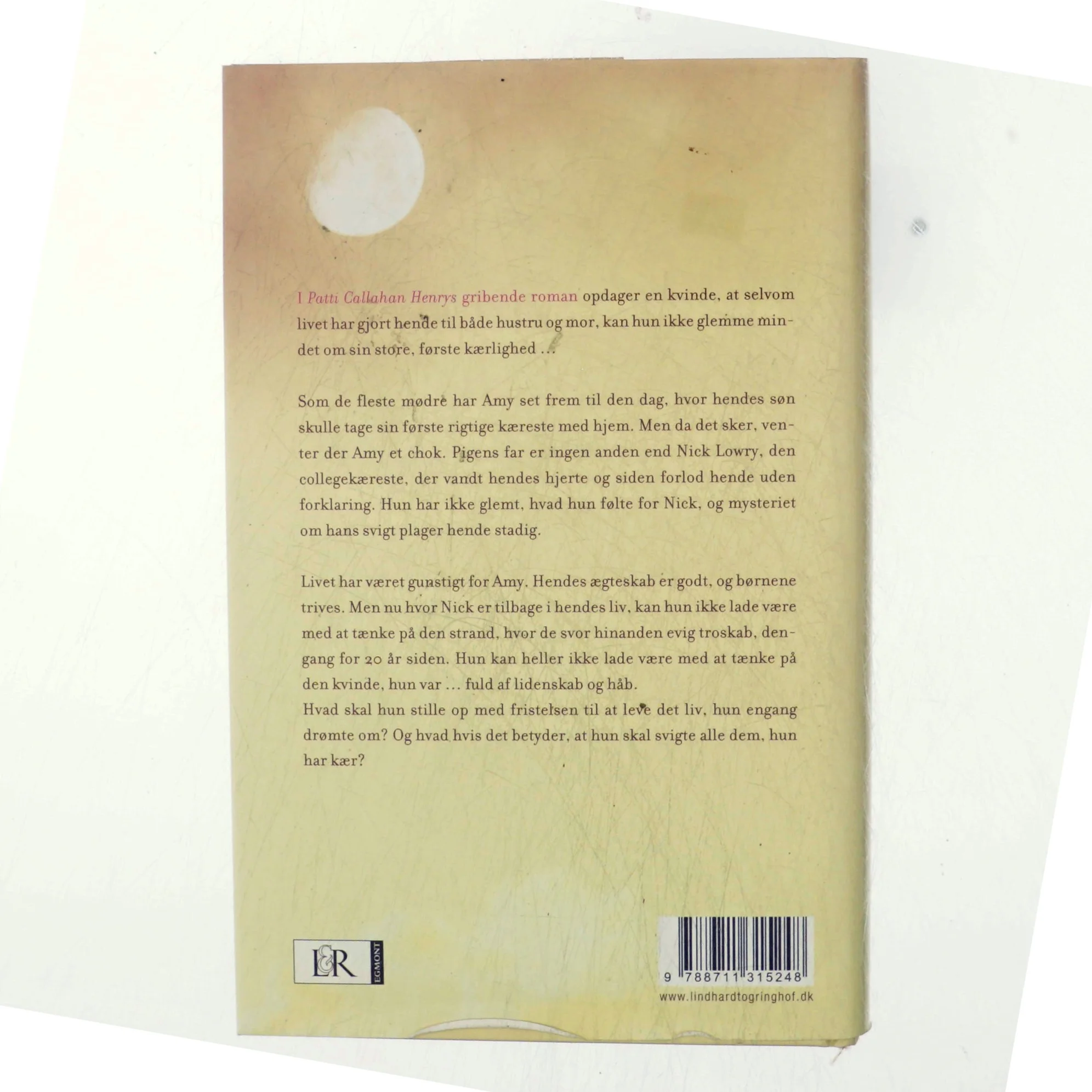 I månens skær af Patti Callahan Henry (Bog)