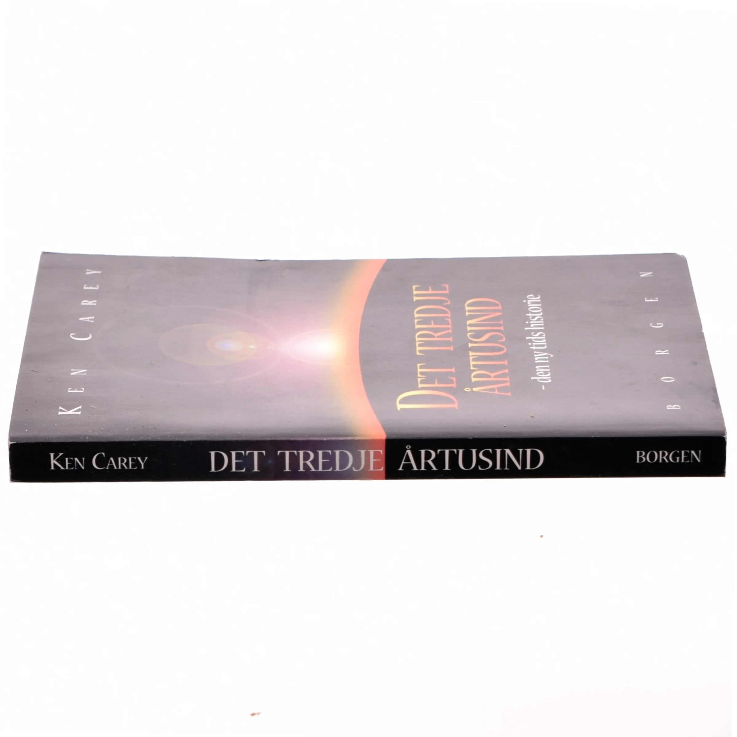 Det tredje årtusind : den ny tids historie af Ken Carey (Bog)