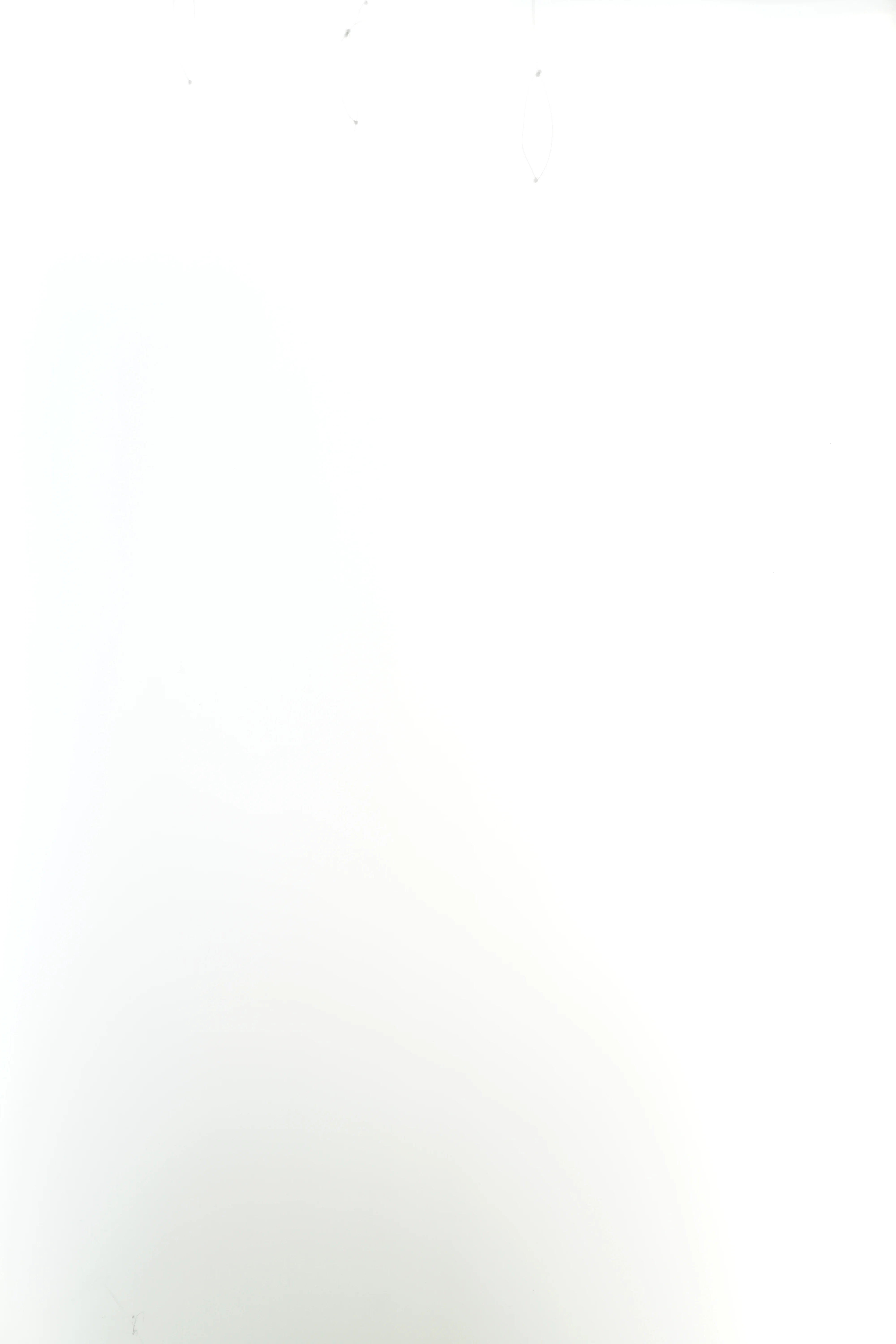 Langærmet bluse med prikker fra Noa Noa (str. 110)