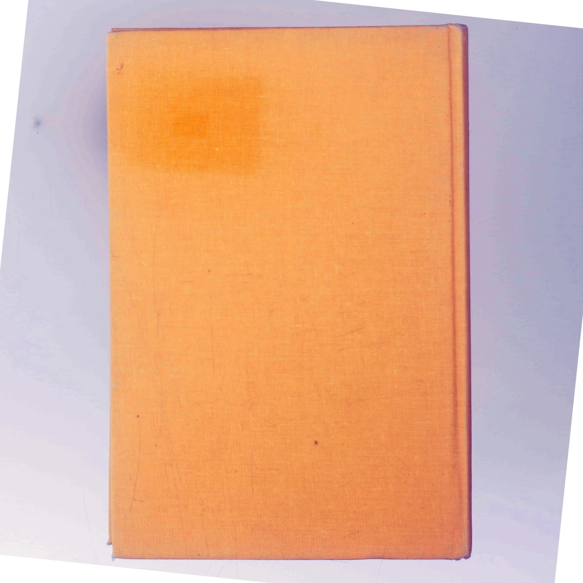 Lademanns naturfører: Hunde (Bog)