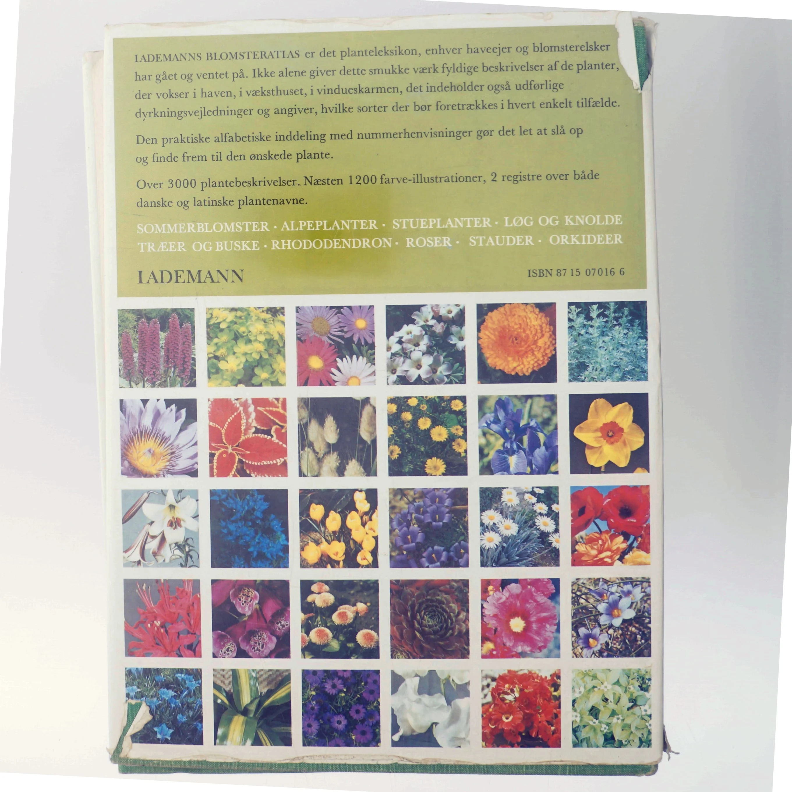 Lademanns Blomsteratlas af Roy Hay (Bog)