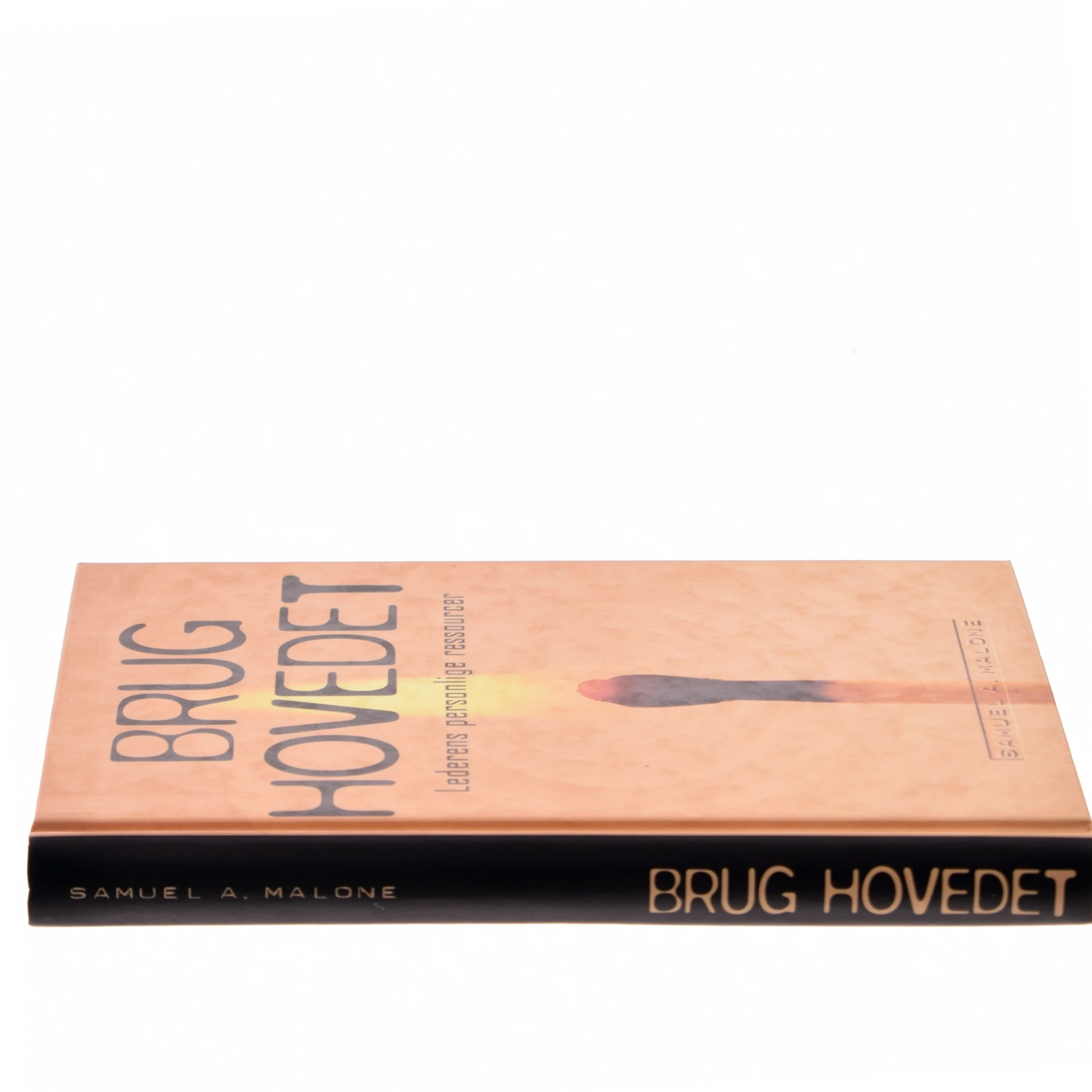 Brug Hovedet af Samuel A. Malone (Bog)