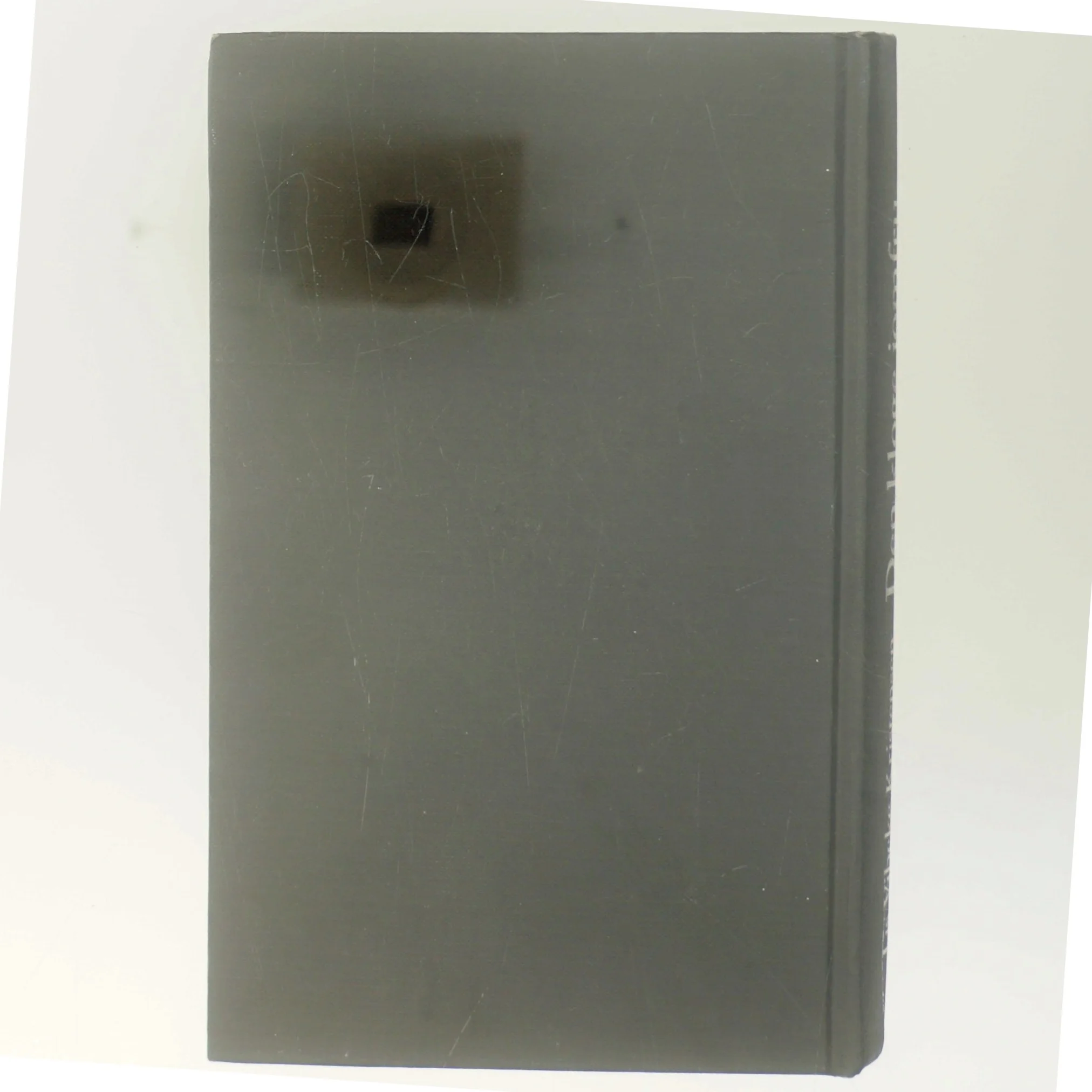 Den Kløge Jomfru af Lise Vibeke Kristensen (Bog)