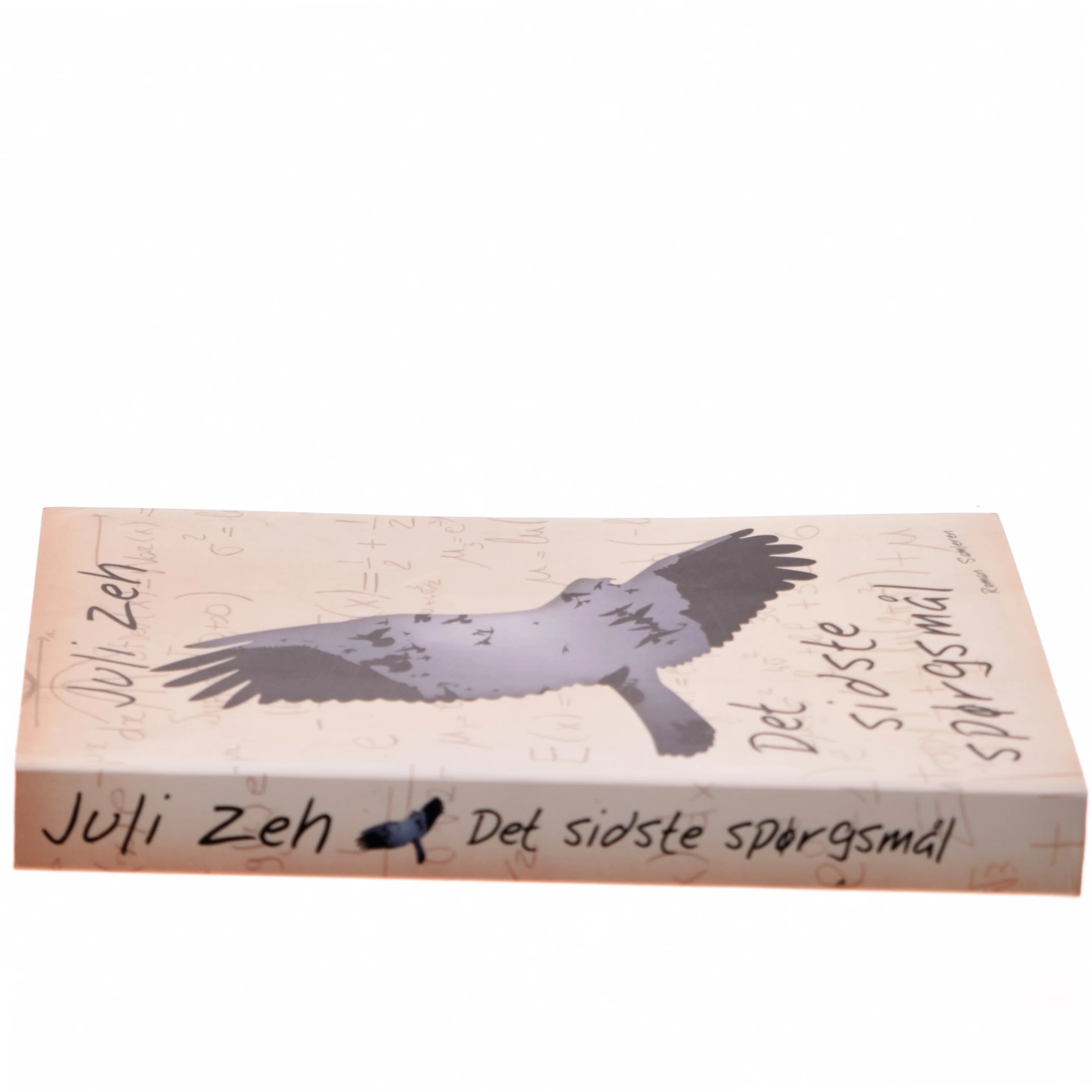 Det sidste spørgsmål : roman af Juli Zeh (Bog)