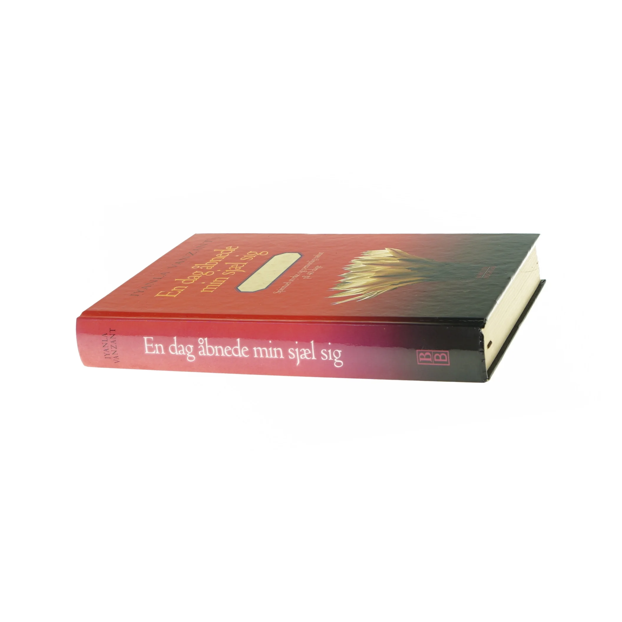 En dag åbnede min sjæl sig - af IIyanla Vanzant Bog