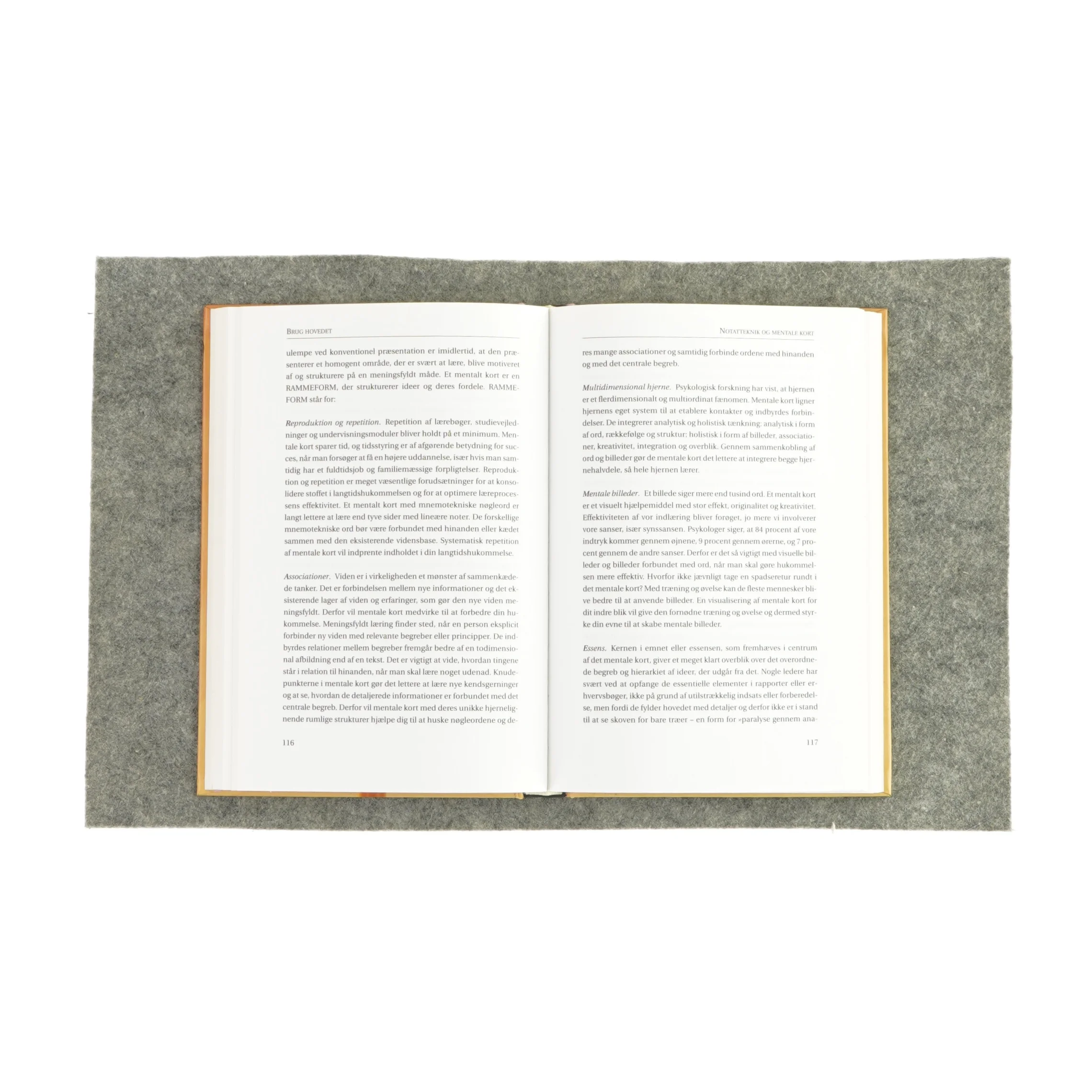 Brug hovedet - Lederens personlige ressourcer - af Samuel A. Malone (Bog)