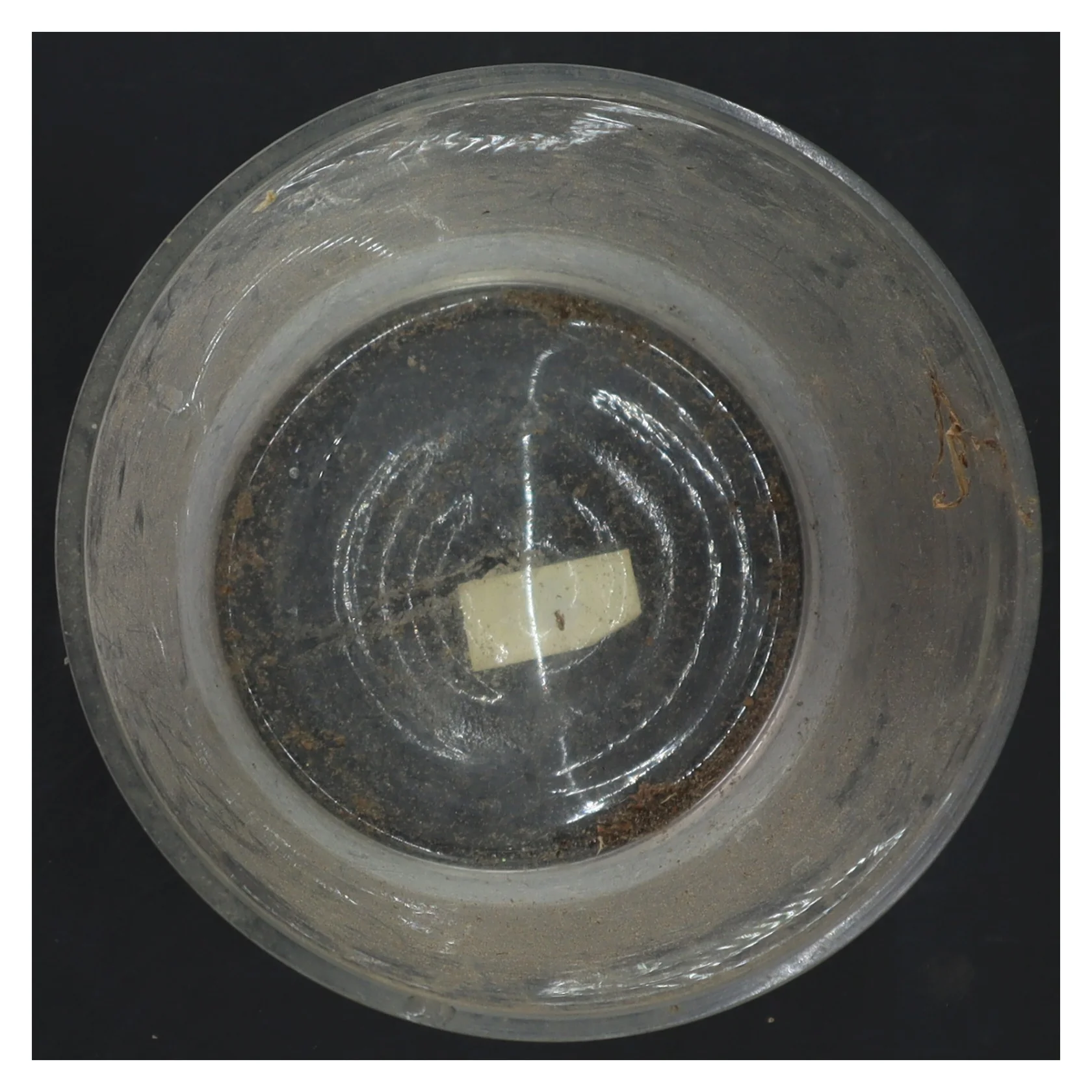 Cylindrisk glas vase (str. 17x14 cm)