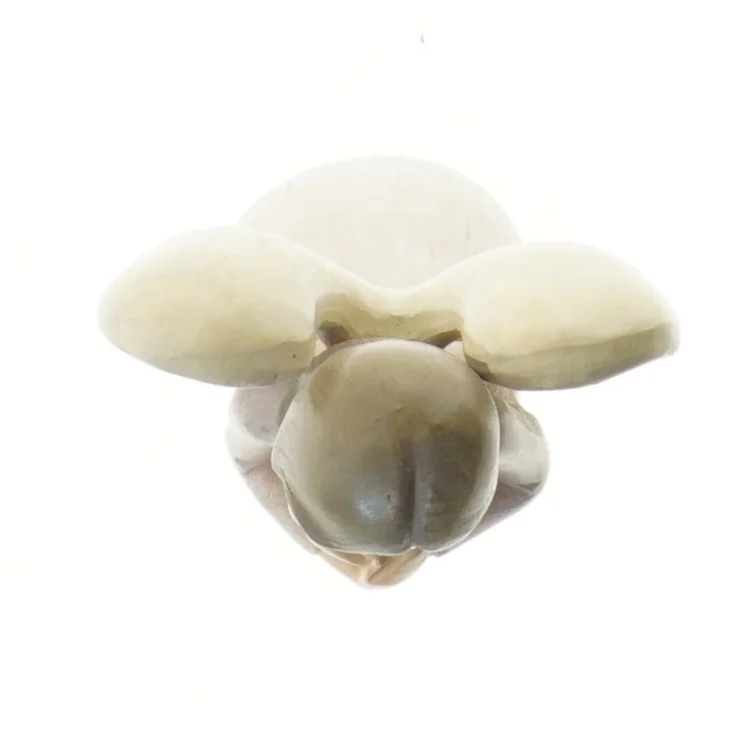 Engel figurine (str. 31 cm)