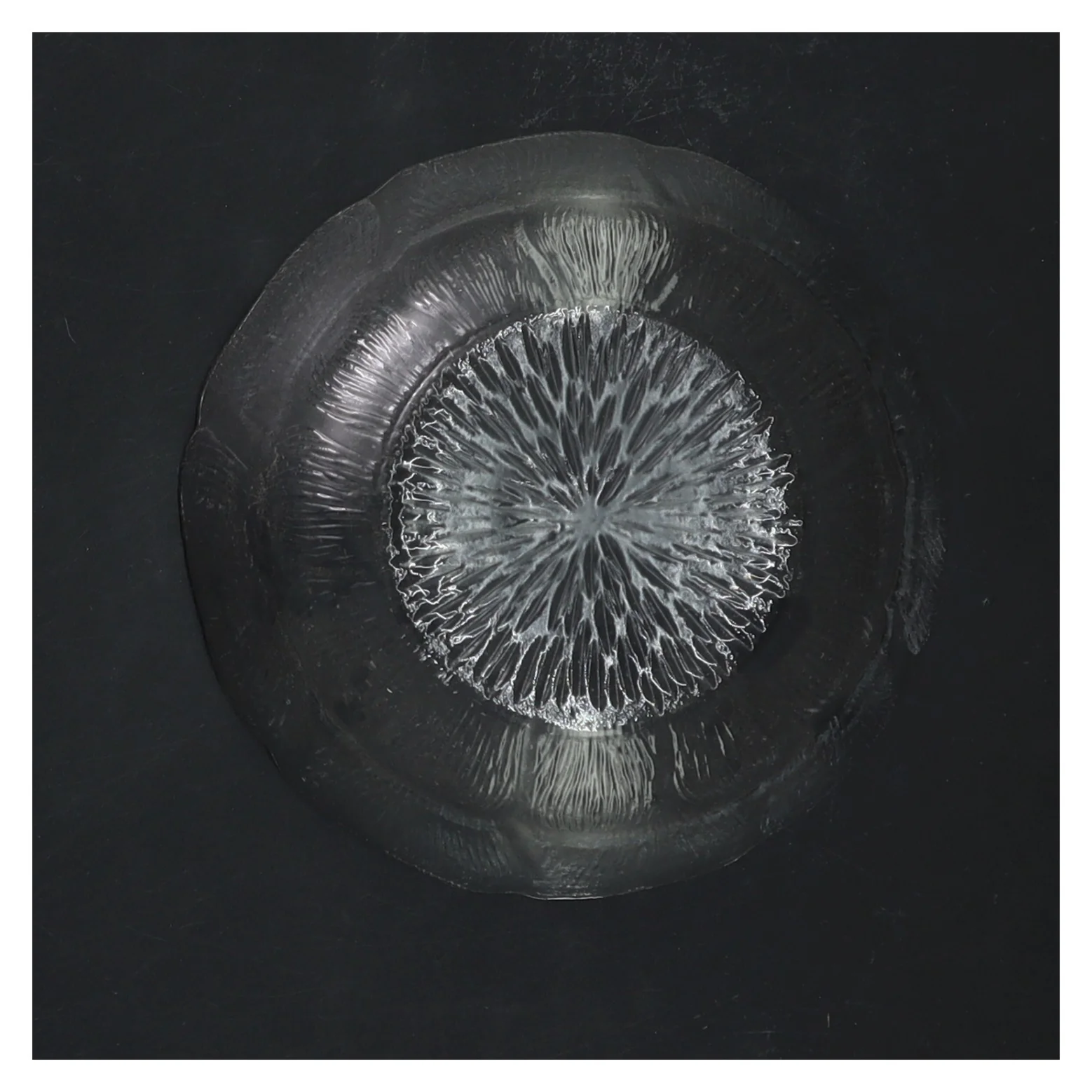 Sæt med 4 glas skåle (str. 4 styk, ø 12,5 cm)